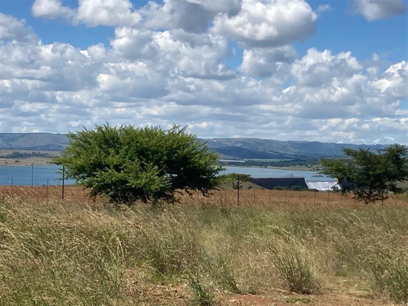 Own your share in a perfect lock-up-and-go opportunity on a Pristine Wildlife Farm