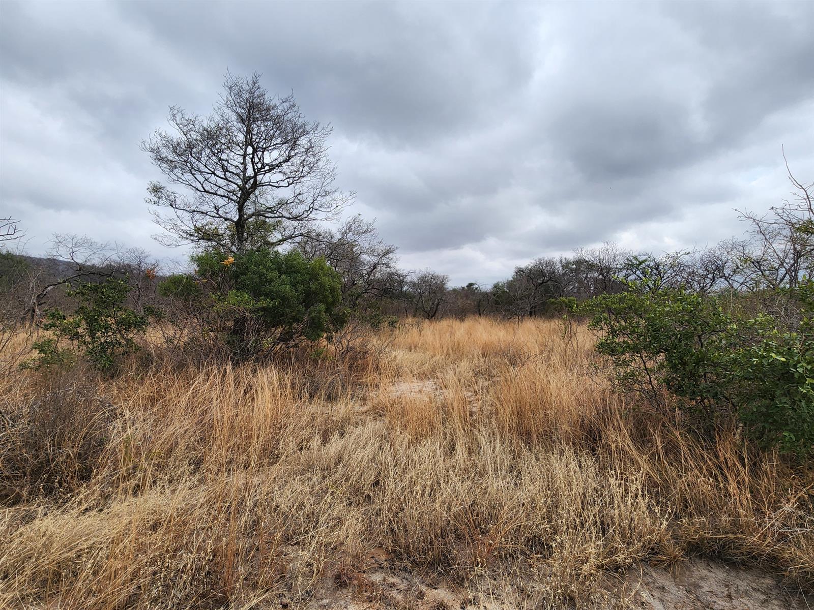 Farm For Sale in Mooketsi, Duiwelskloof