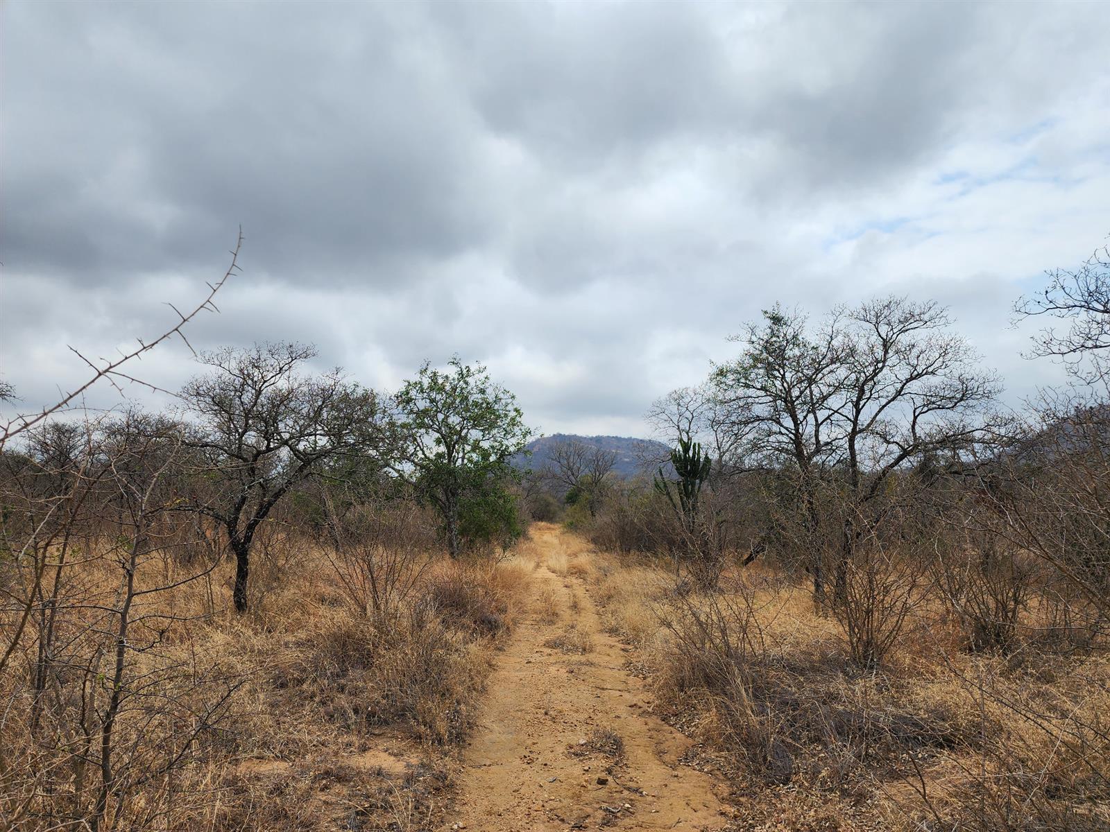 Farm For Sale in Mooketsi, Duiwelskloof