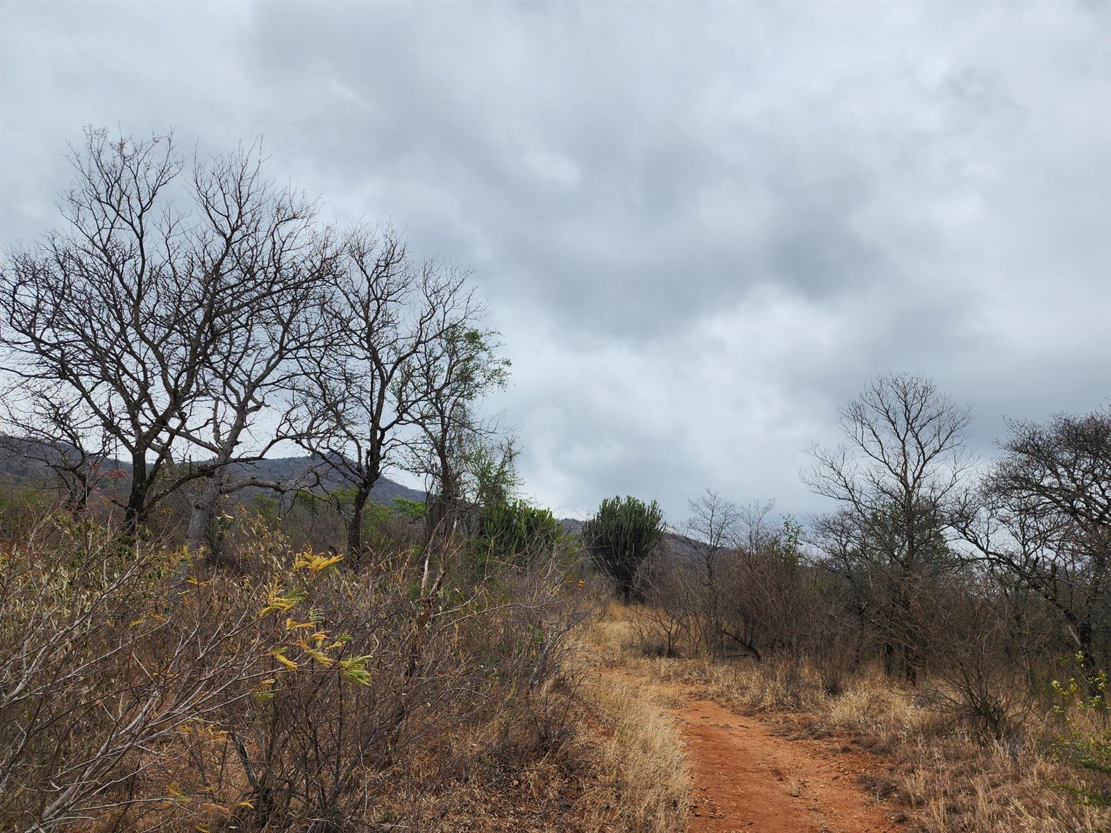 Farm For Sale in Mooketsi, Duiwelskloof