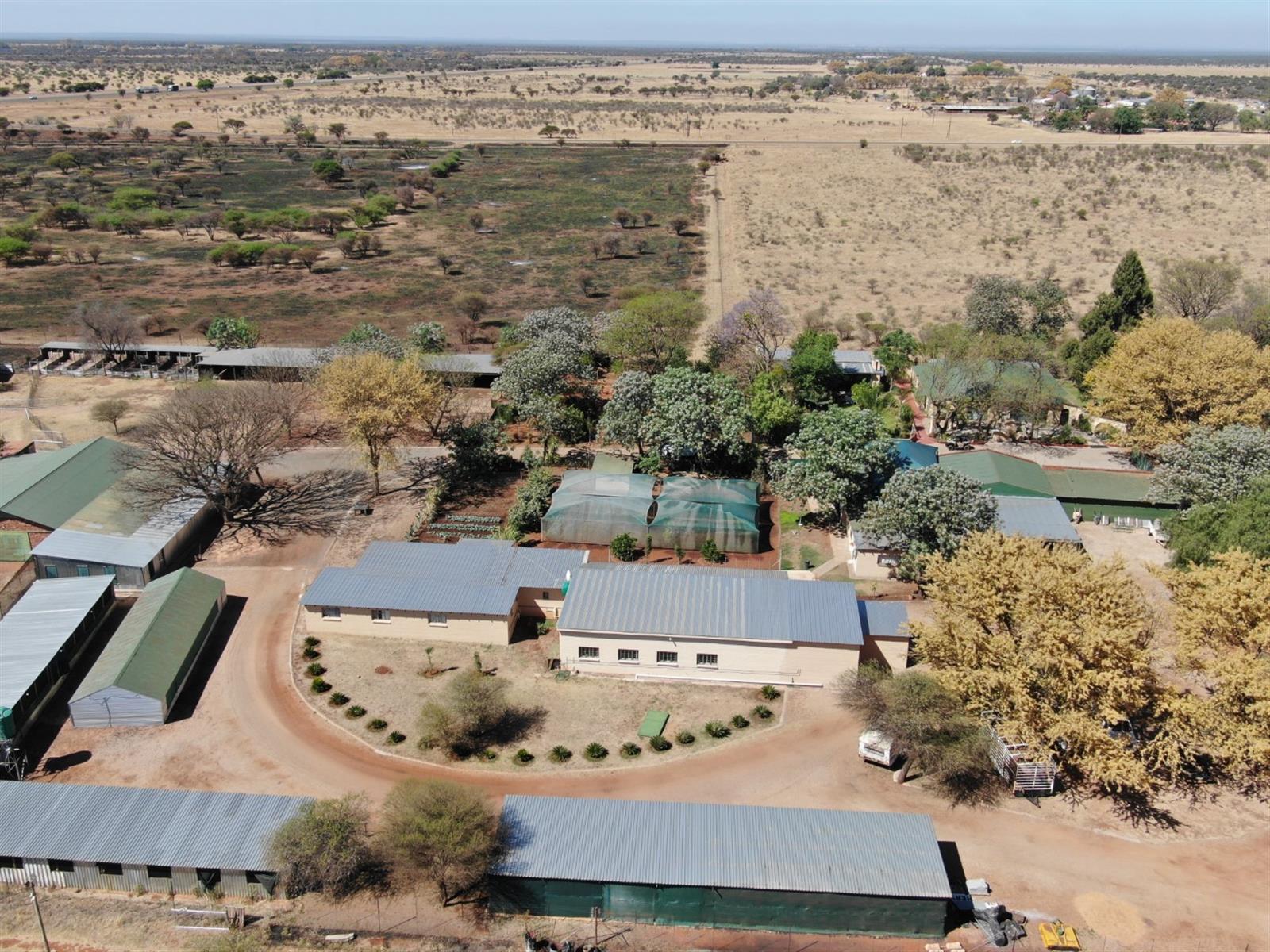 Exceptional Intensive Farming Operations on 26-hectare smallholding near Radium, Limpopo