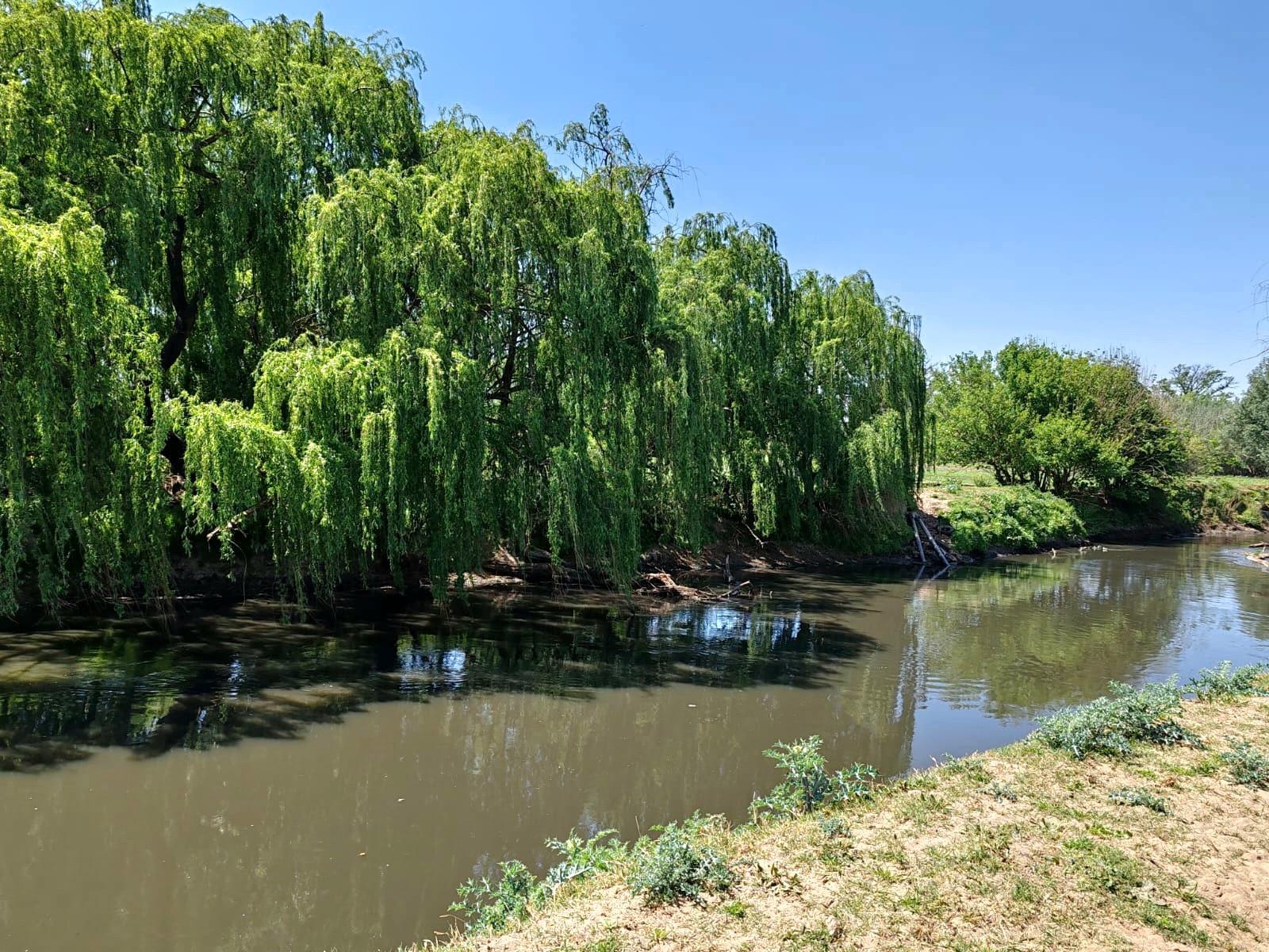 Farm For Sale in Witkop, Meyerton, R13 000 000.00