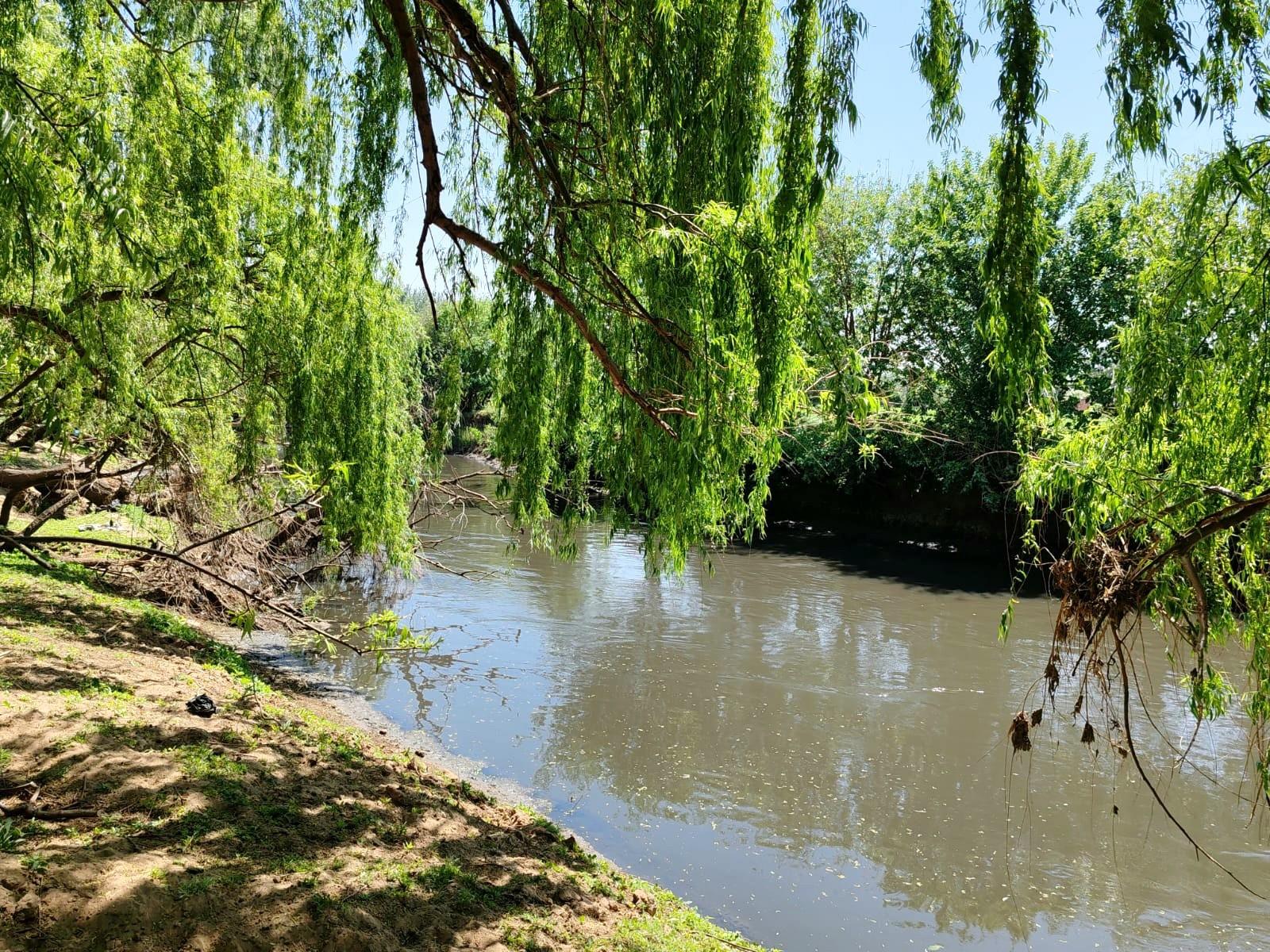 Farm For Sale in Witkop, Meyerton, R13 000 000.00