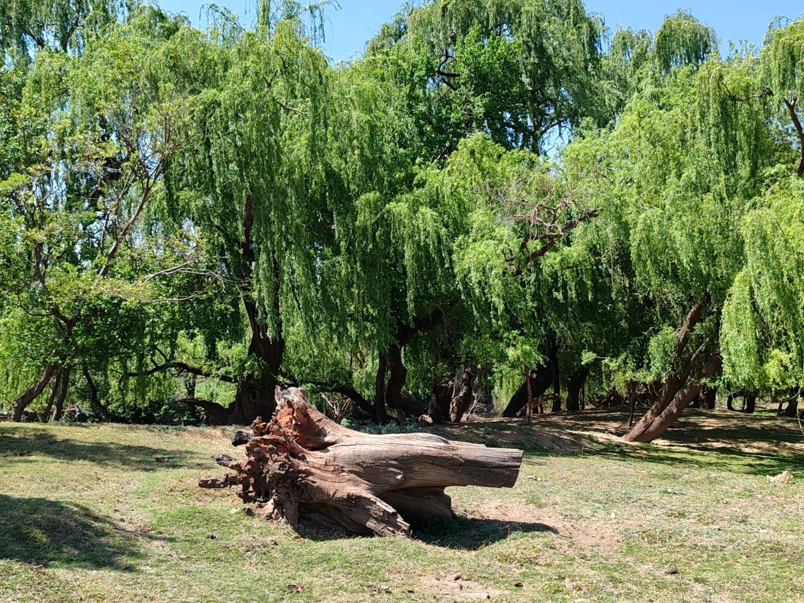 Farm For Sale in Witkop, Meyerton, R13 000 000.00