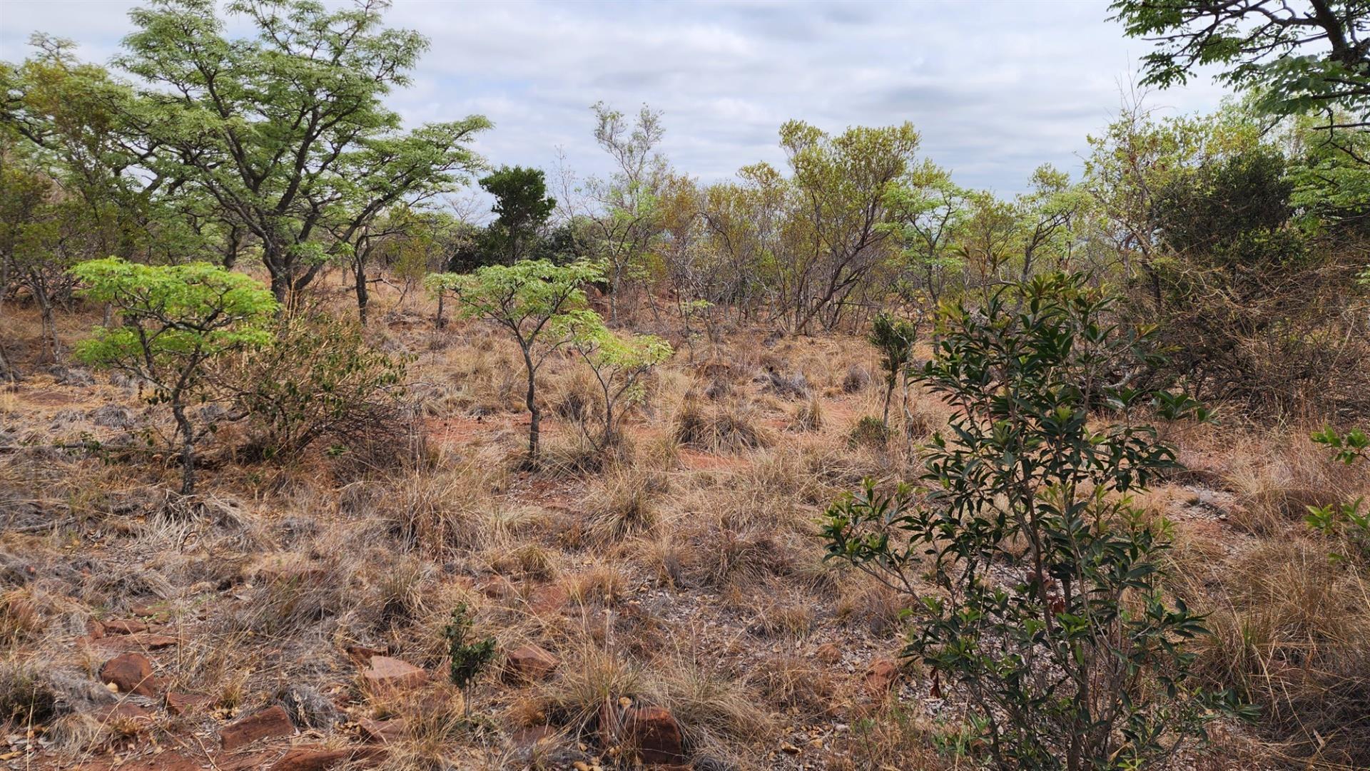 North Facing Vacant Land in Verloren with Spectacular Mountain Views