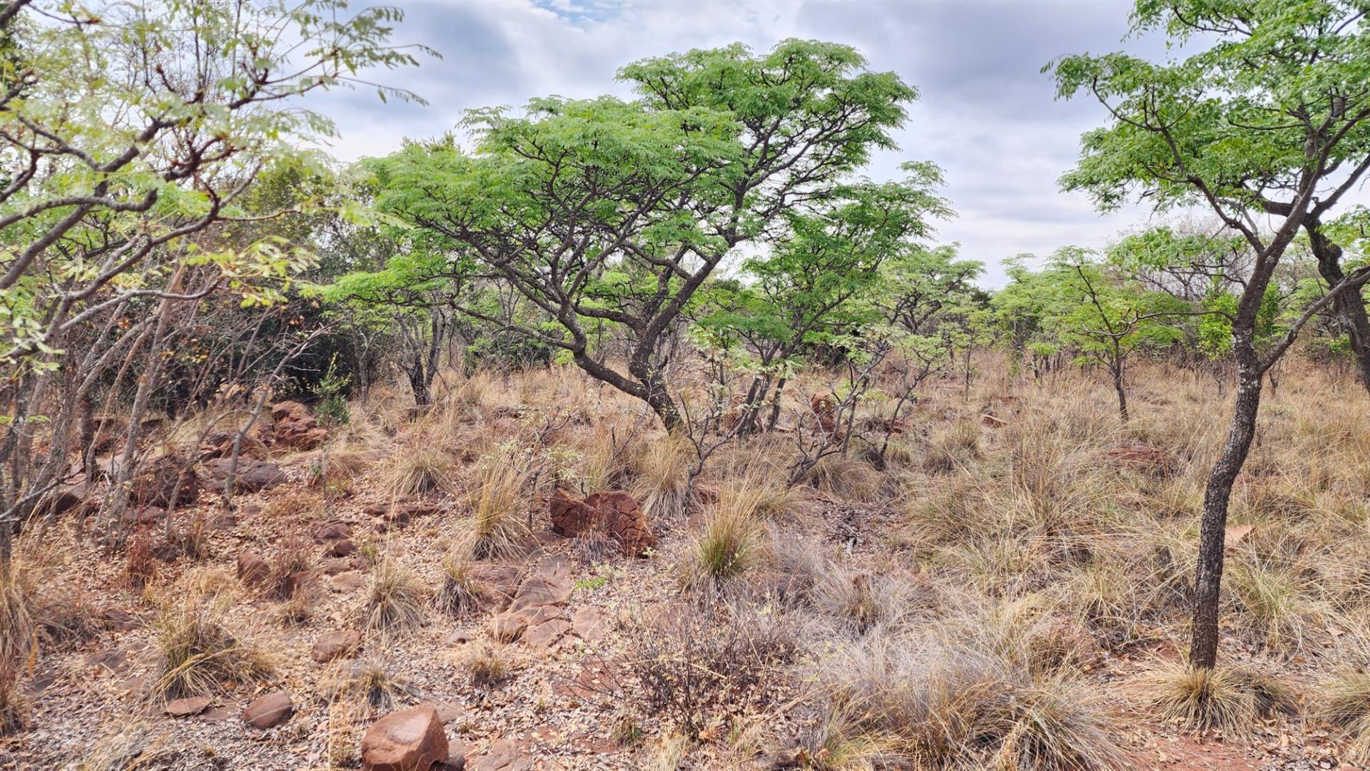 North Facing Vacant Land in Verloren with Spectacular Mountain Views