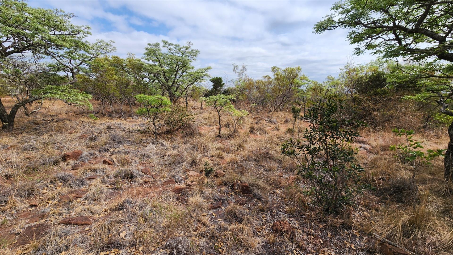 North Facing Vacant Land in Verloren with Spectacular Mountain Views