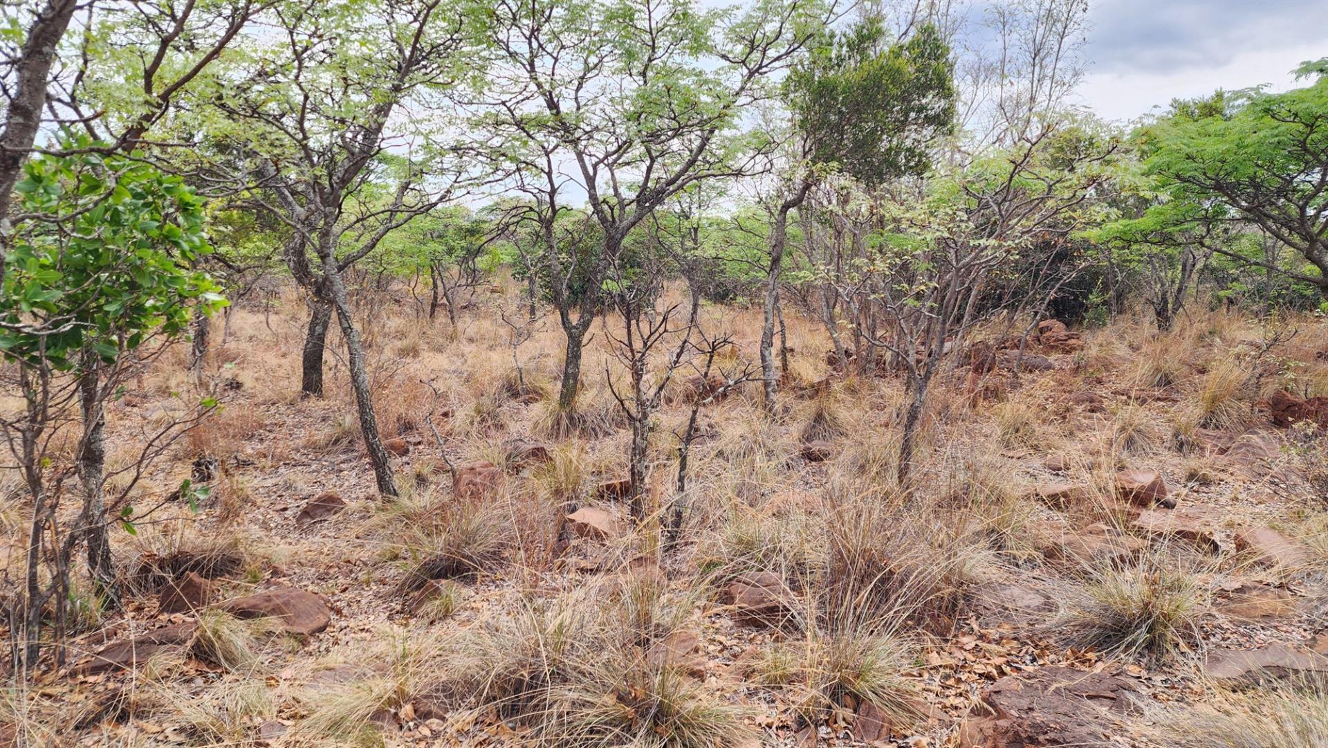 North Facing Vacant Land in Verloren with Spectacular Mountain Views