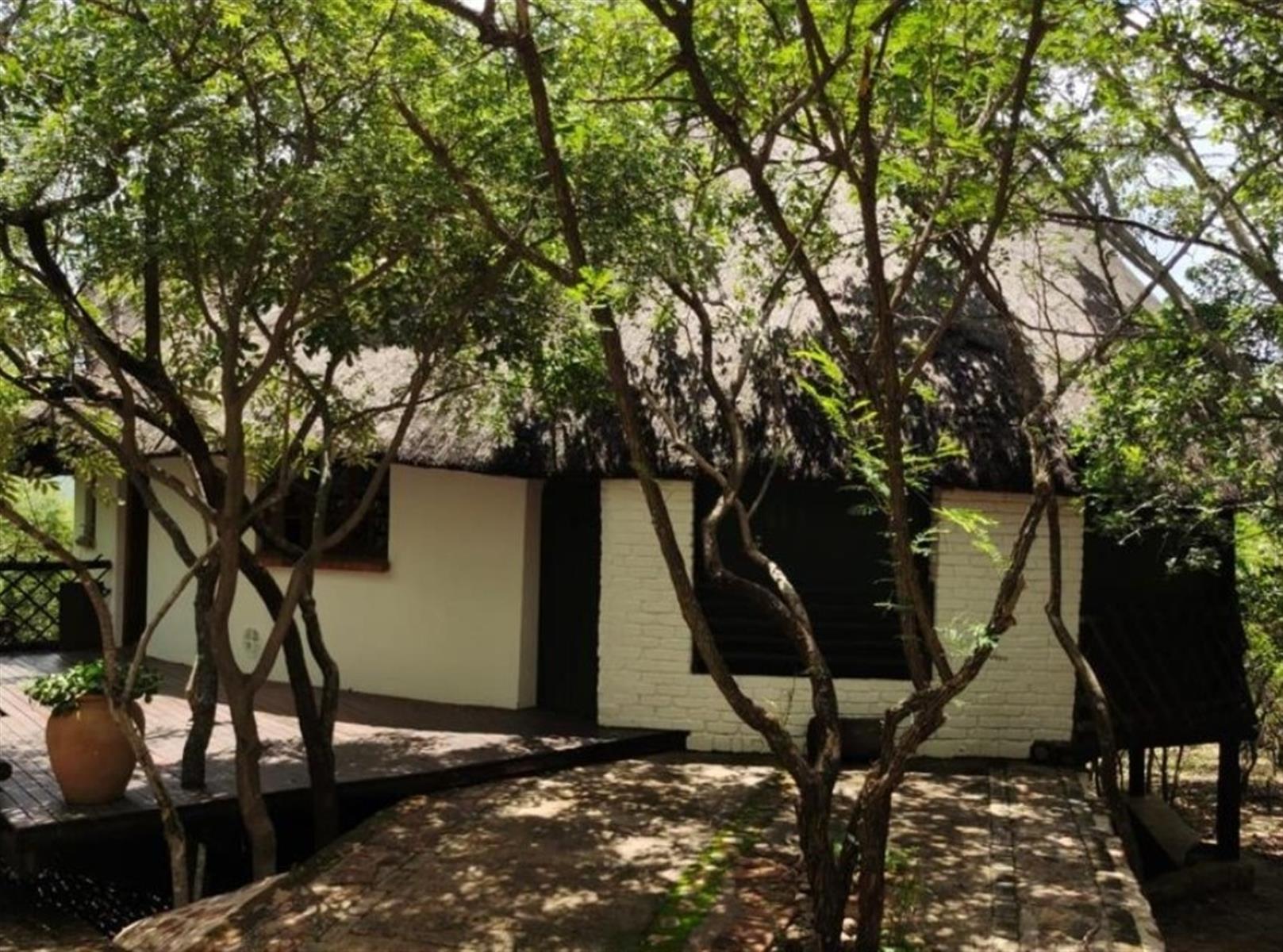 Distinctive Thatch-Home Offering Space
