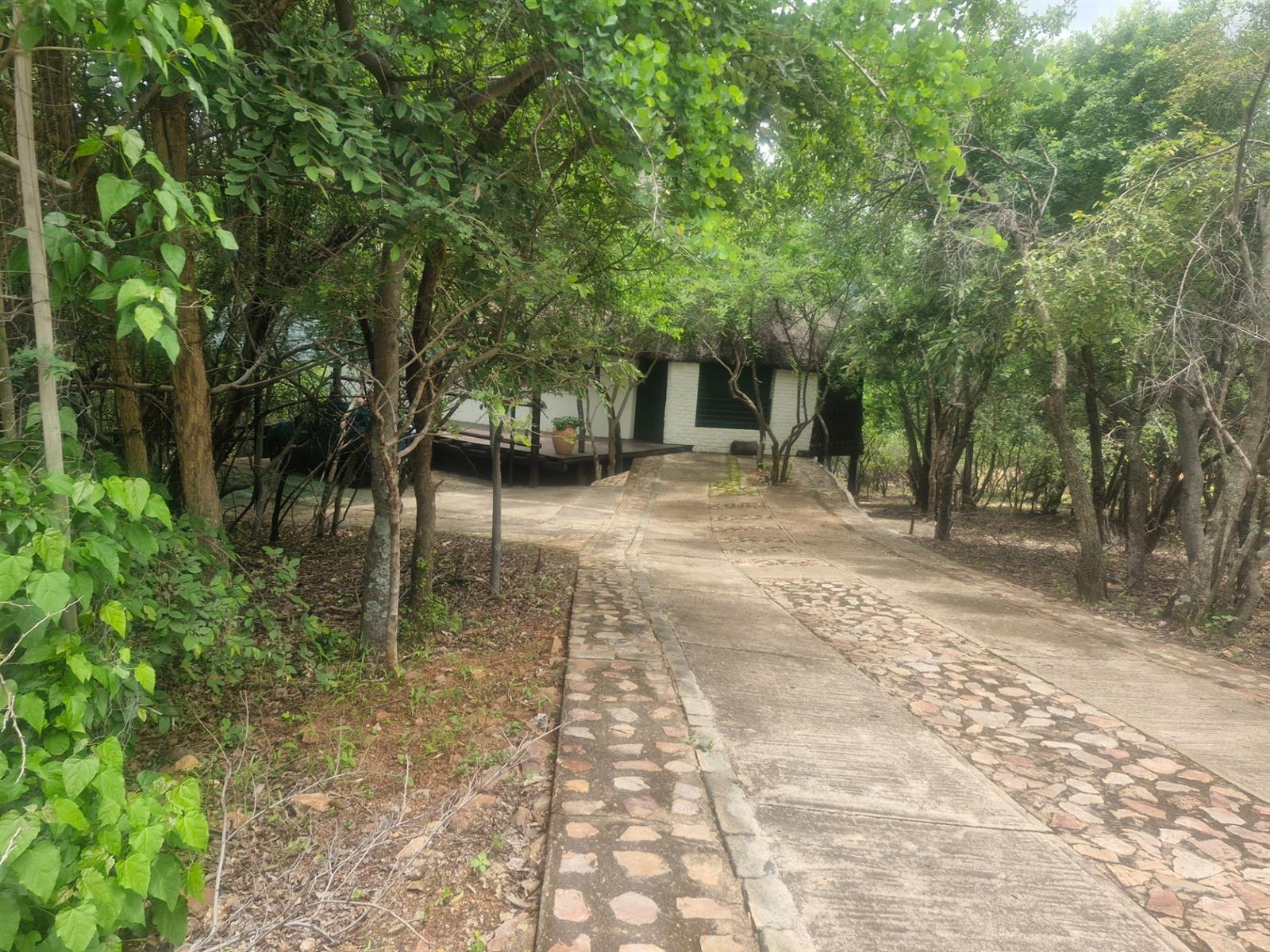 Distinctive Thatch-Home Offering Space