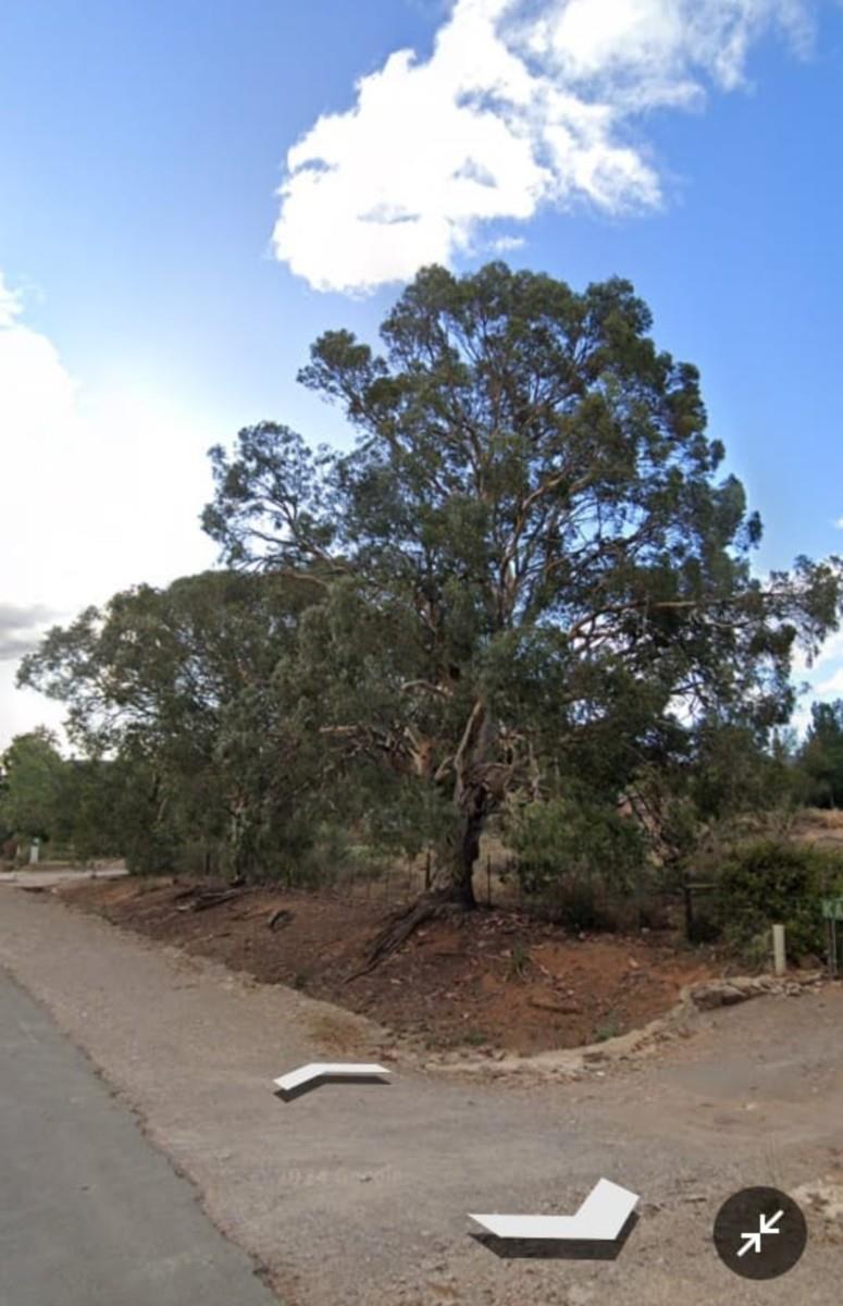 Vacant Land for sale in Willowmore, 74 Wehmeyer Street, Willowmore, Eastern Cape, 1285 m²