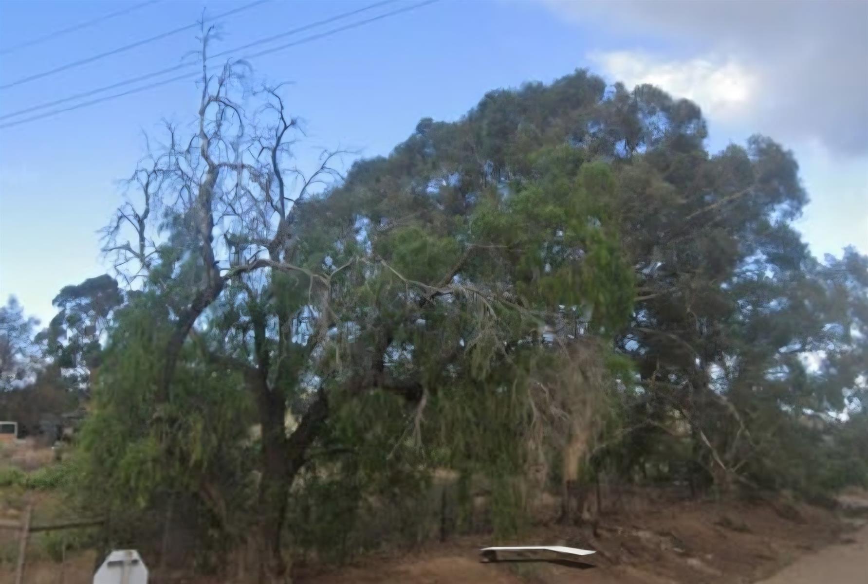Vacant Land for sale in Willowmore, 74 Wehmeyer Street, Willowmore, Eastern Cape, 1285 m²
