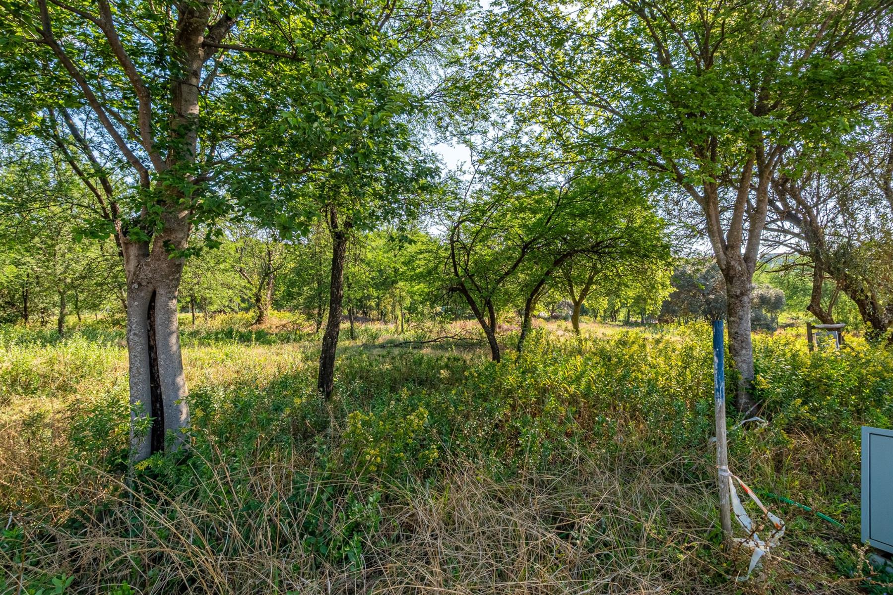 Largest Stand On The Market In Helderfontein Estate With House Plans