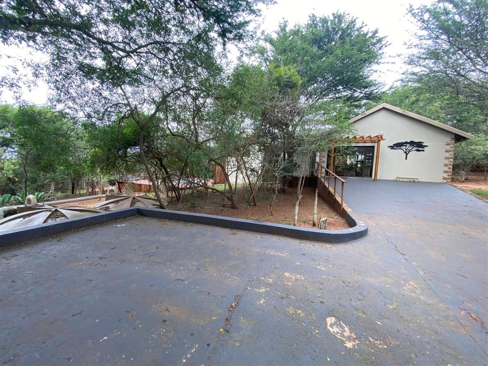 Elegant Safari Lodge in Hluhluwe - Where Luxury Meets the Wild