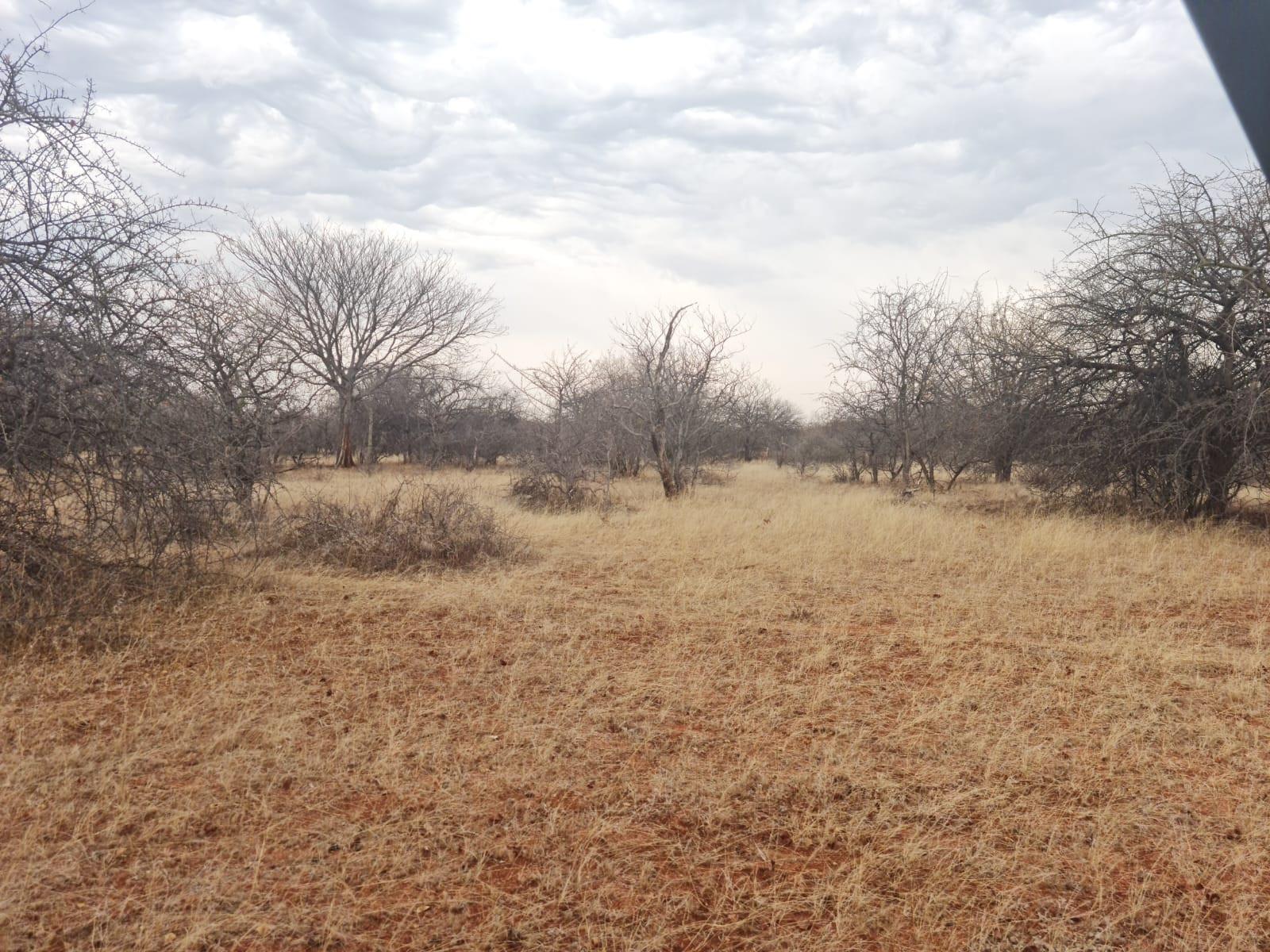 578 ha Water-Rich Bushveld Game Farm with Lodge Potential