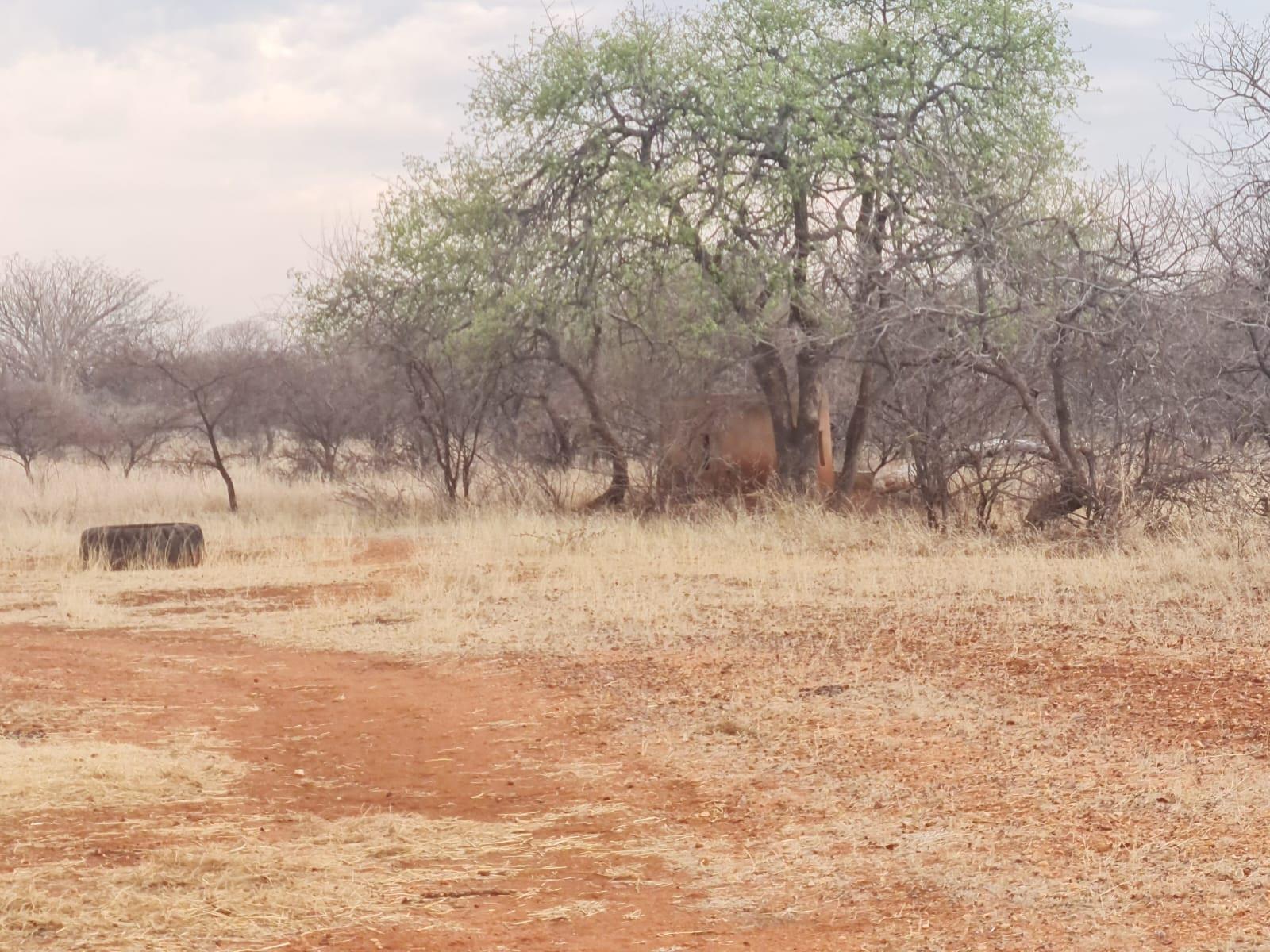 Farm for sale in Musina