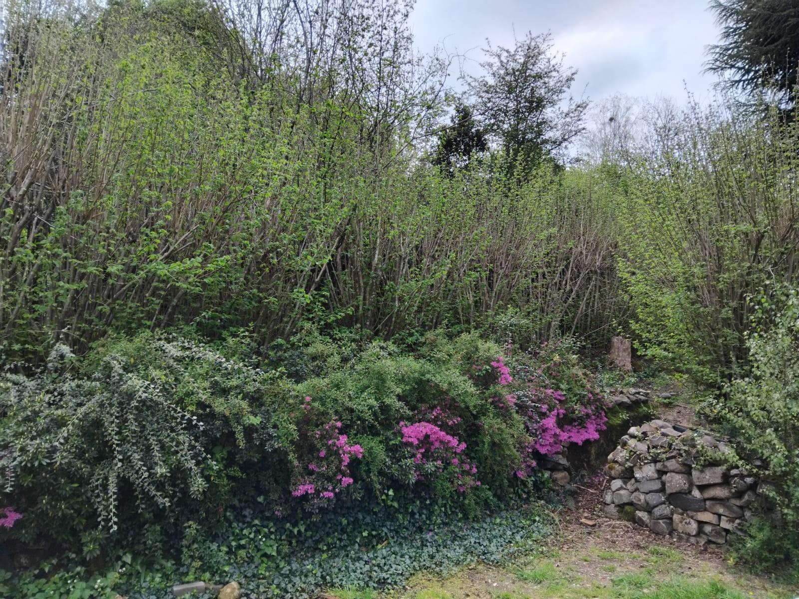 FOREST HOME FOR SALE IN HOGSBACK