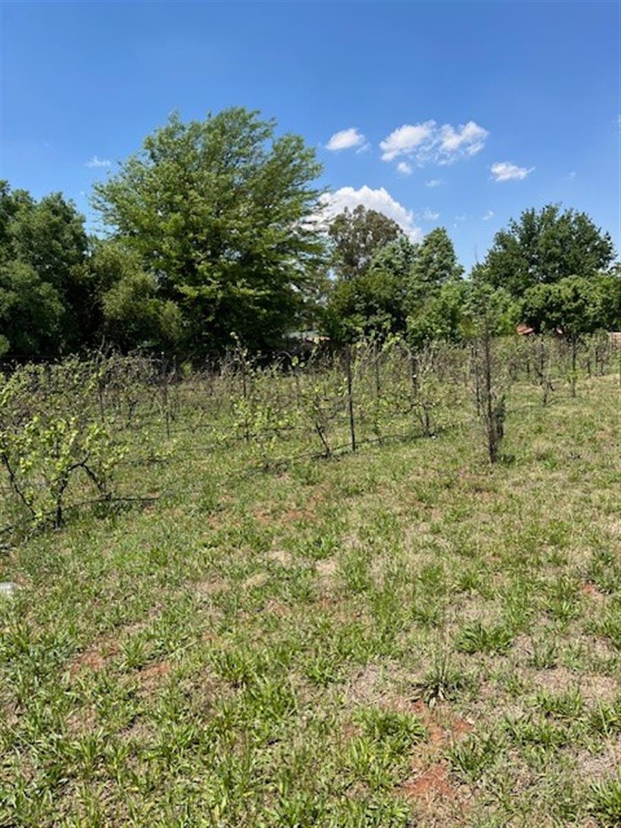 Vacant Land For Sale in Henley On Klip Meyerton