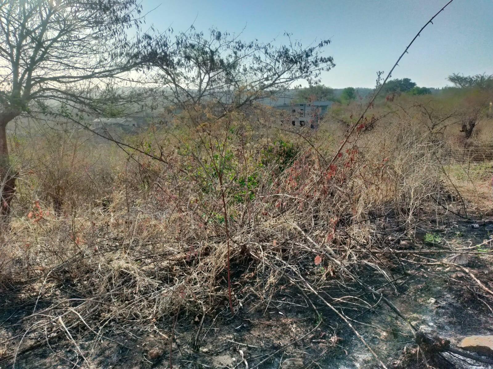 VACANT LAND FOR SALE IN THOHOYANDOU UNIT S