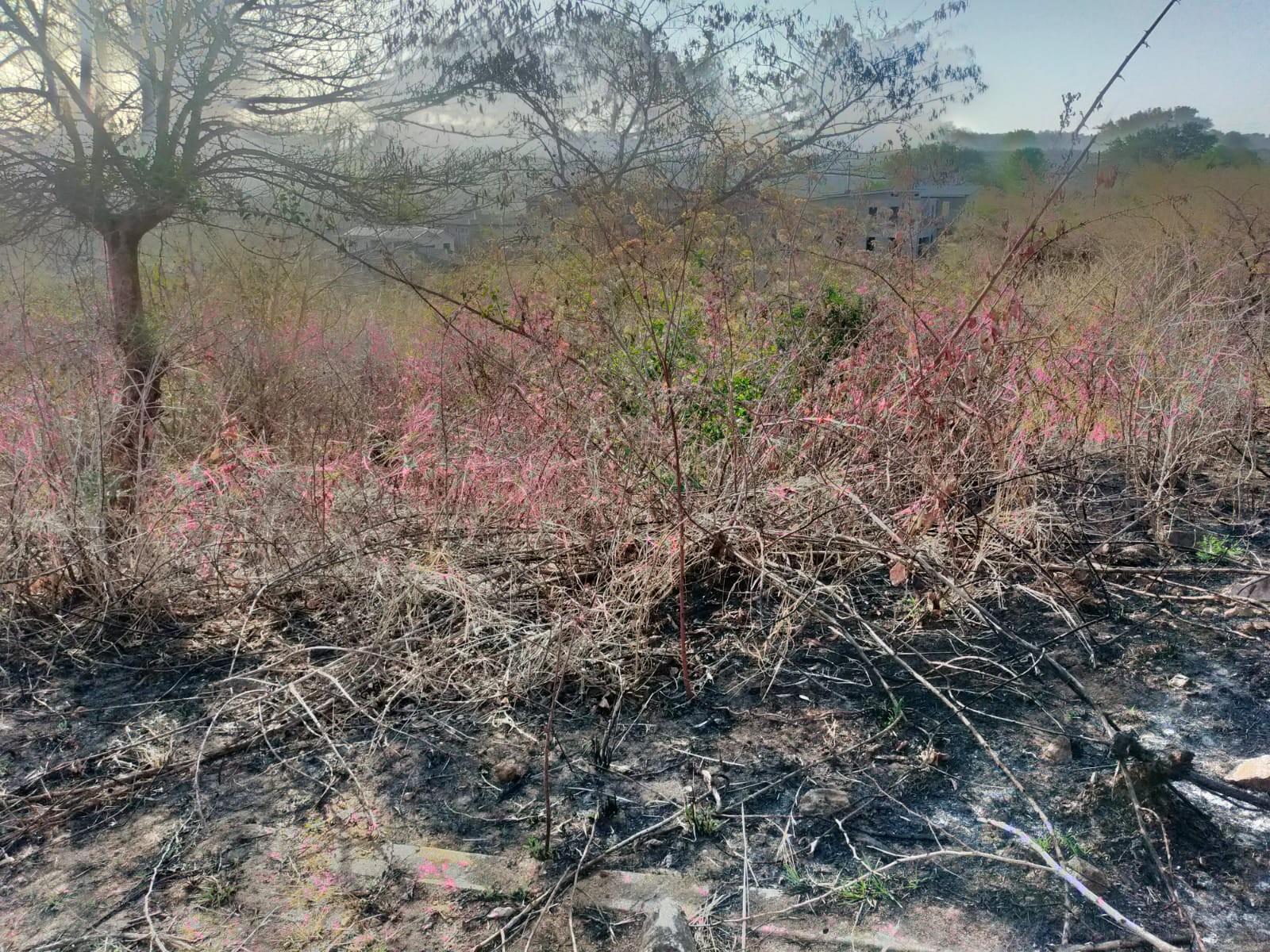 VACANT LAND FOR SALE IN THOHOYANDOU UNIT S
