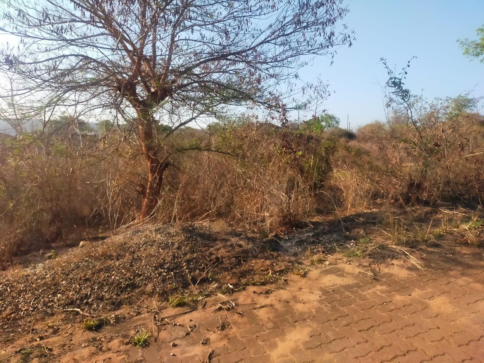 VACANT LAND FOR SALE IN THOHOYANDOU UNIT S