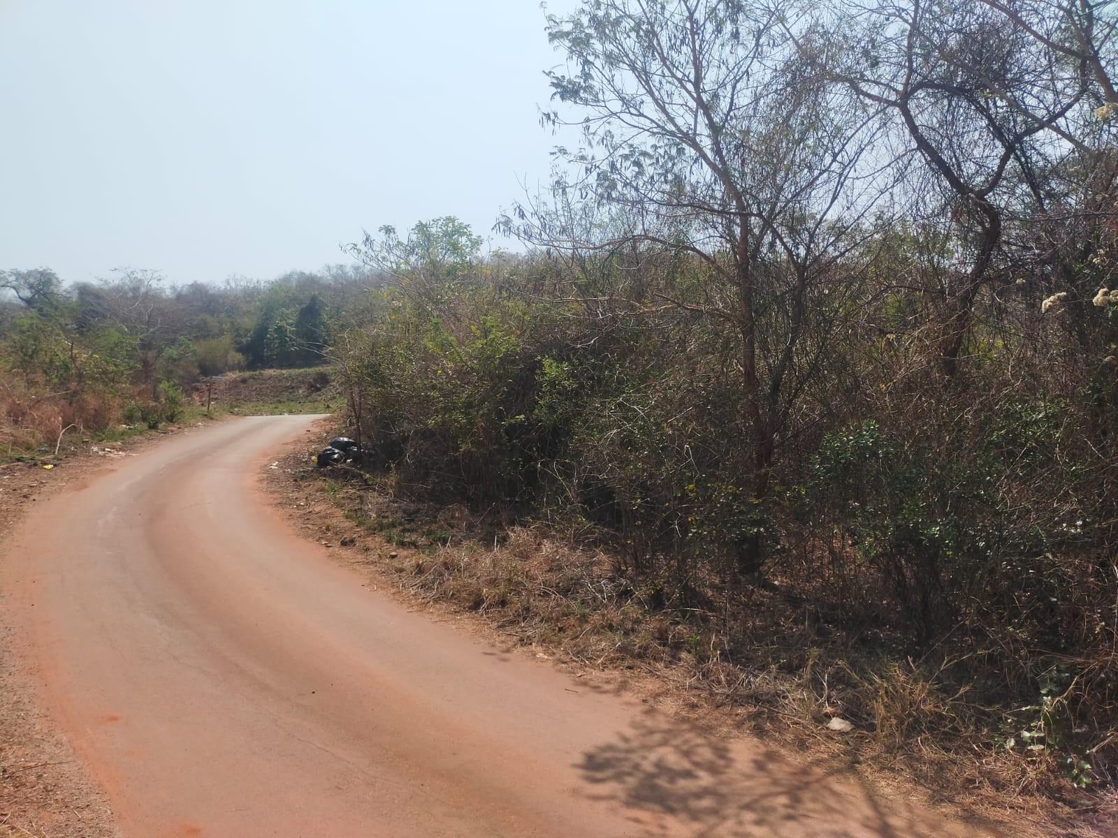 Vacant Land For Sale in Thohoyandou Unit D