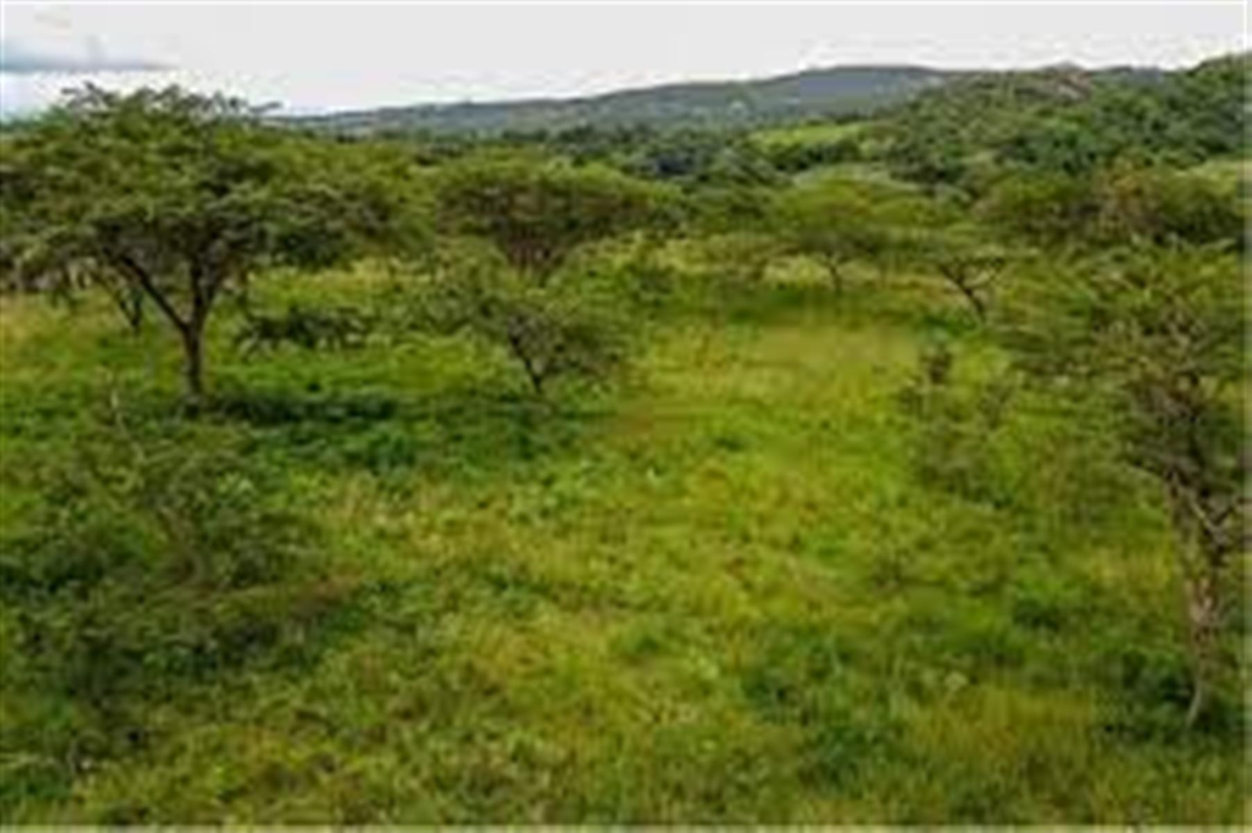 Vacant Land For Sale in Wild Fig Country Estate, White River