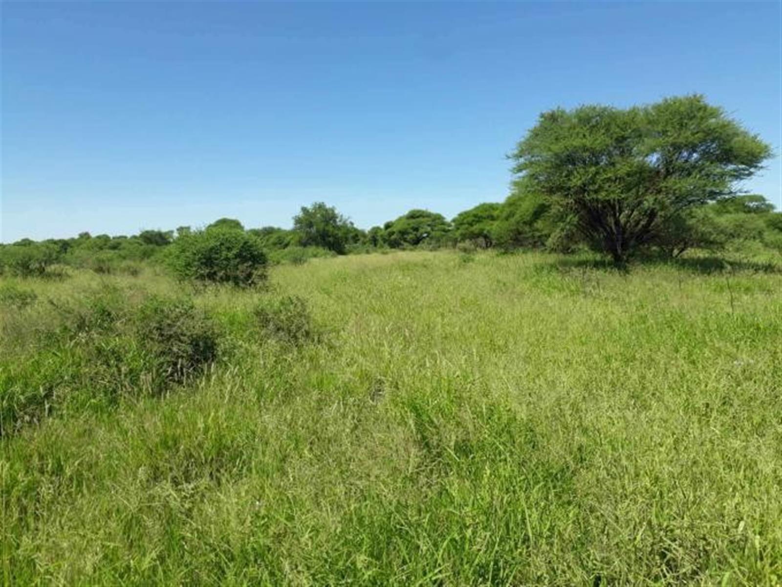 Vacant Land For Sale in Wild Fig Country Estate, White River