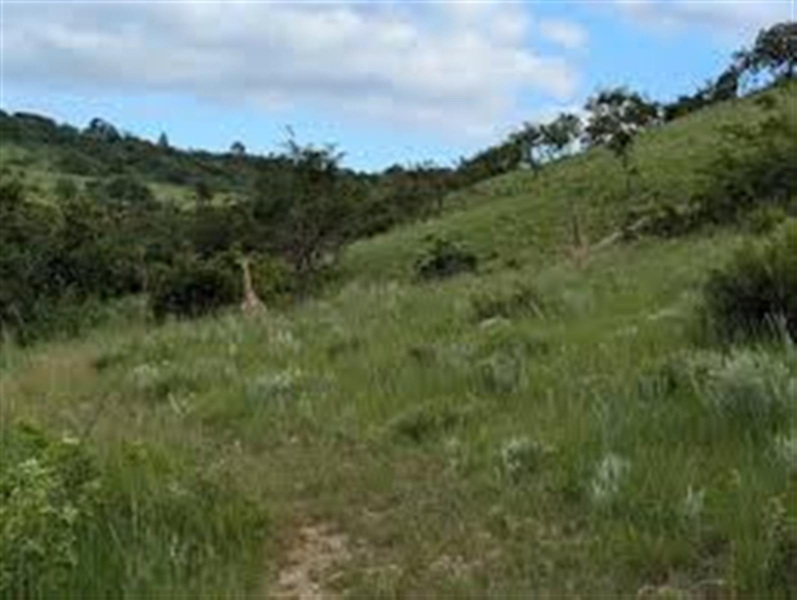 Vacant Land For Sale in Wild Fig Country Estate, White River