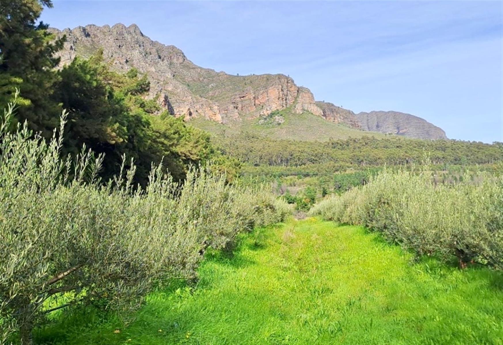 Calling Nature lovers and Equestrians