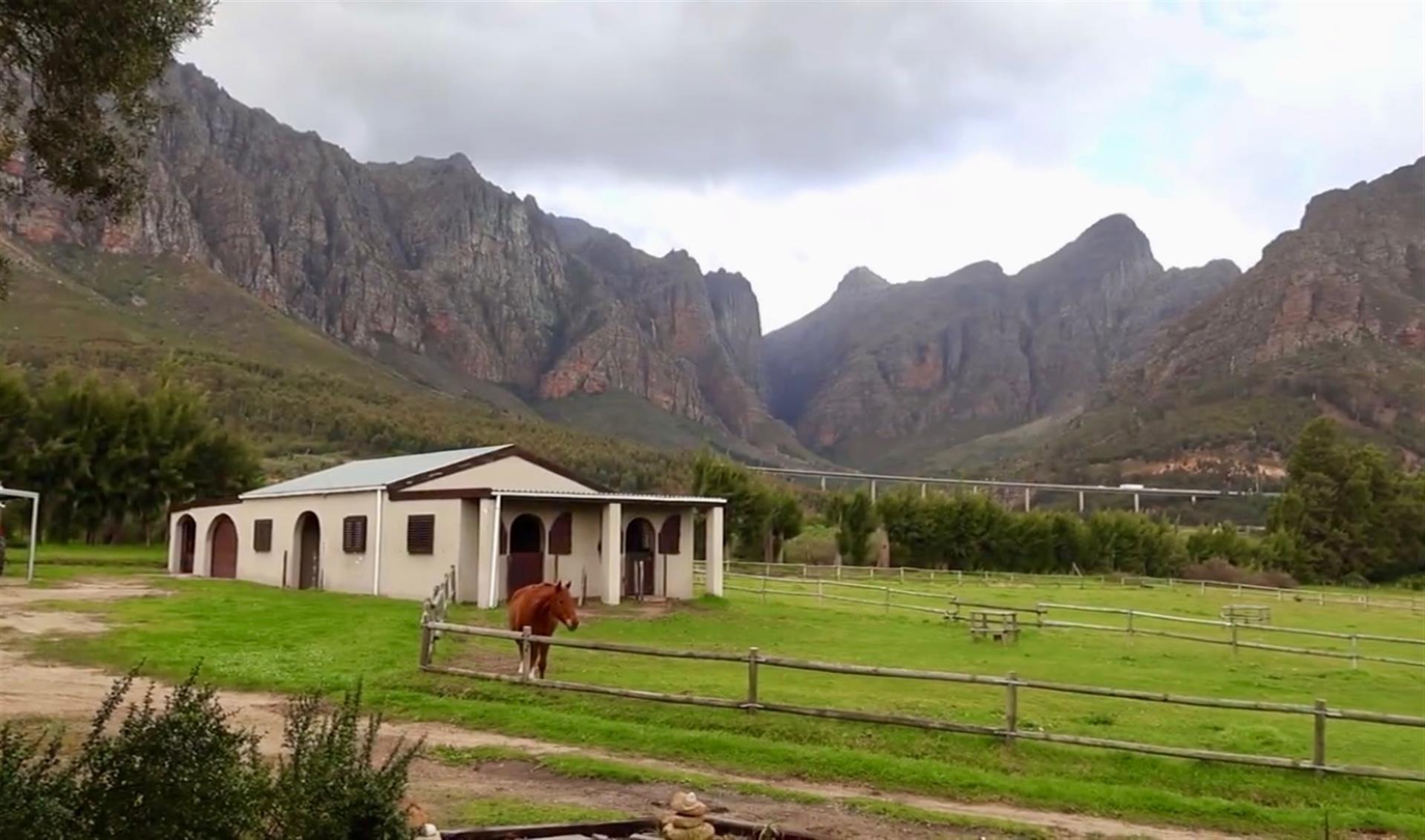 Calling Nature lovers and Equestrians