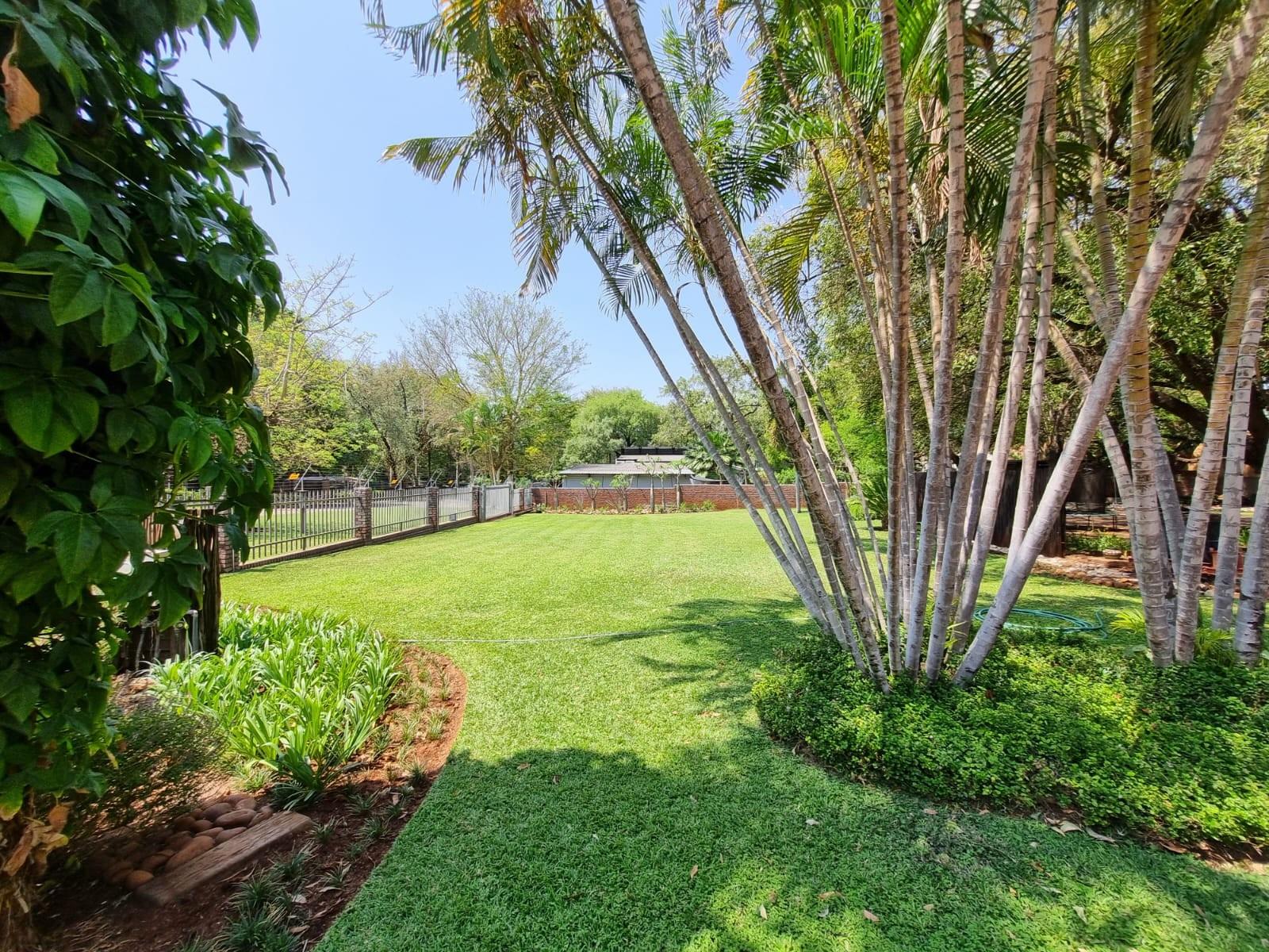 Immaculate Modern Home on Double Stand | Entertainer’s Dream with Pool and Lush Garden
