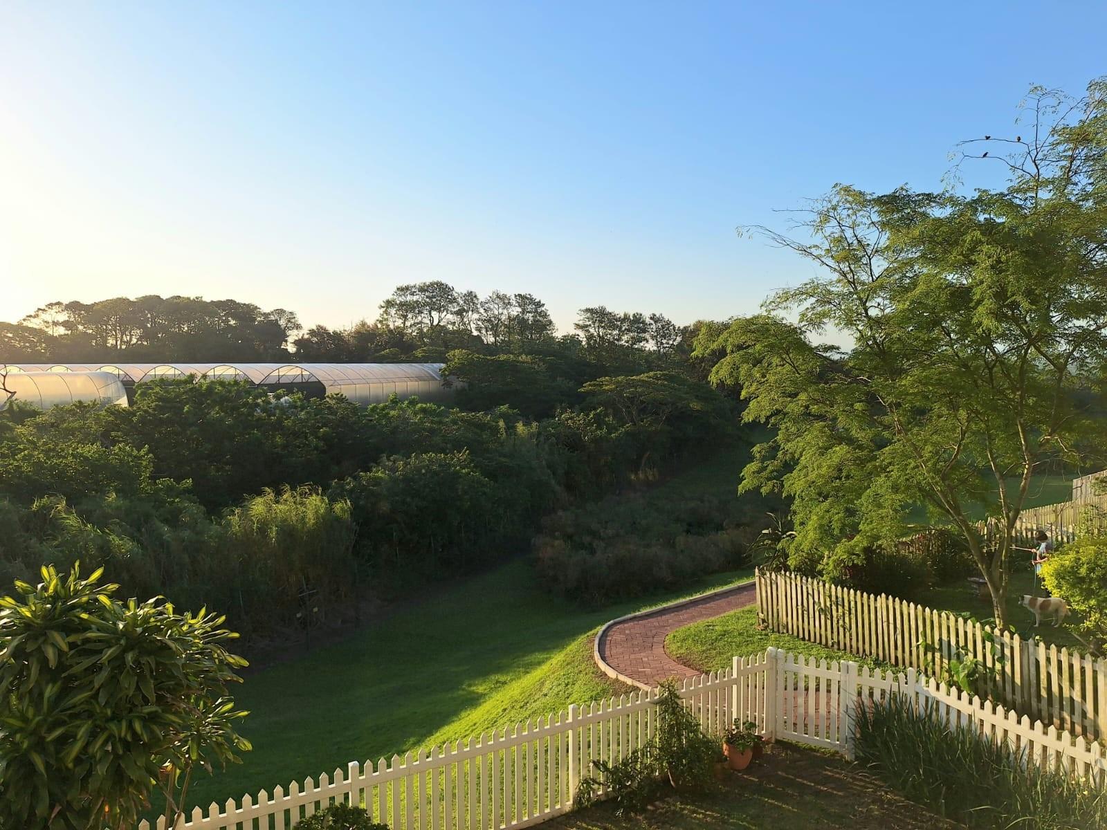 Light-Filled Second-Floor Apartment with Sunset Views - Sheffield Manor Estate