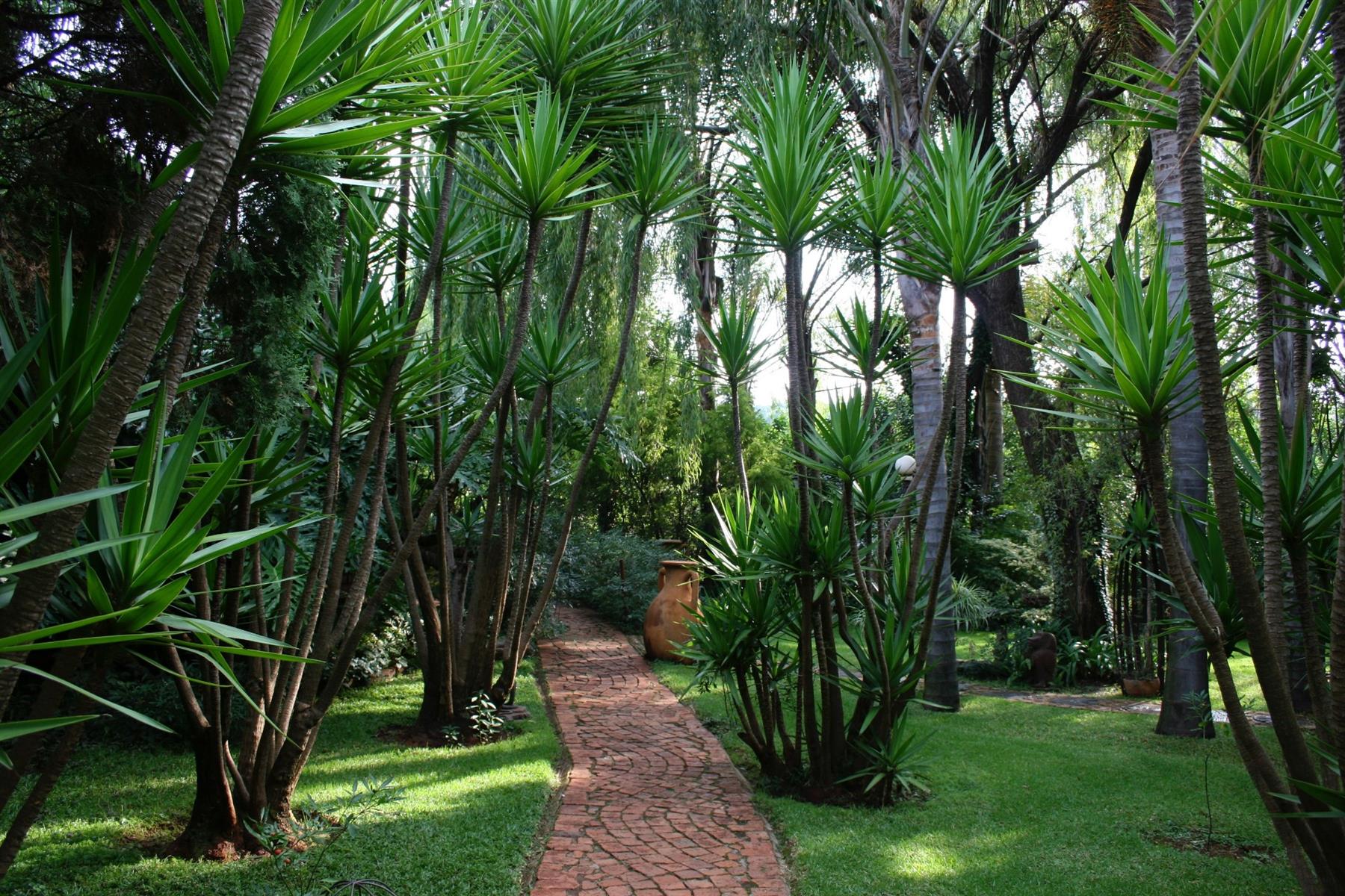 Small Holding for sale in Rietfontein, Pretoria, 85599 m²
