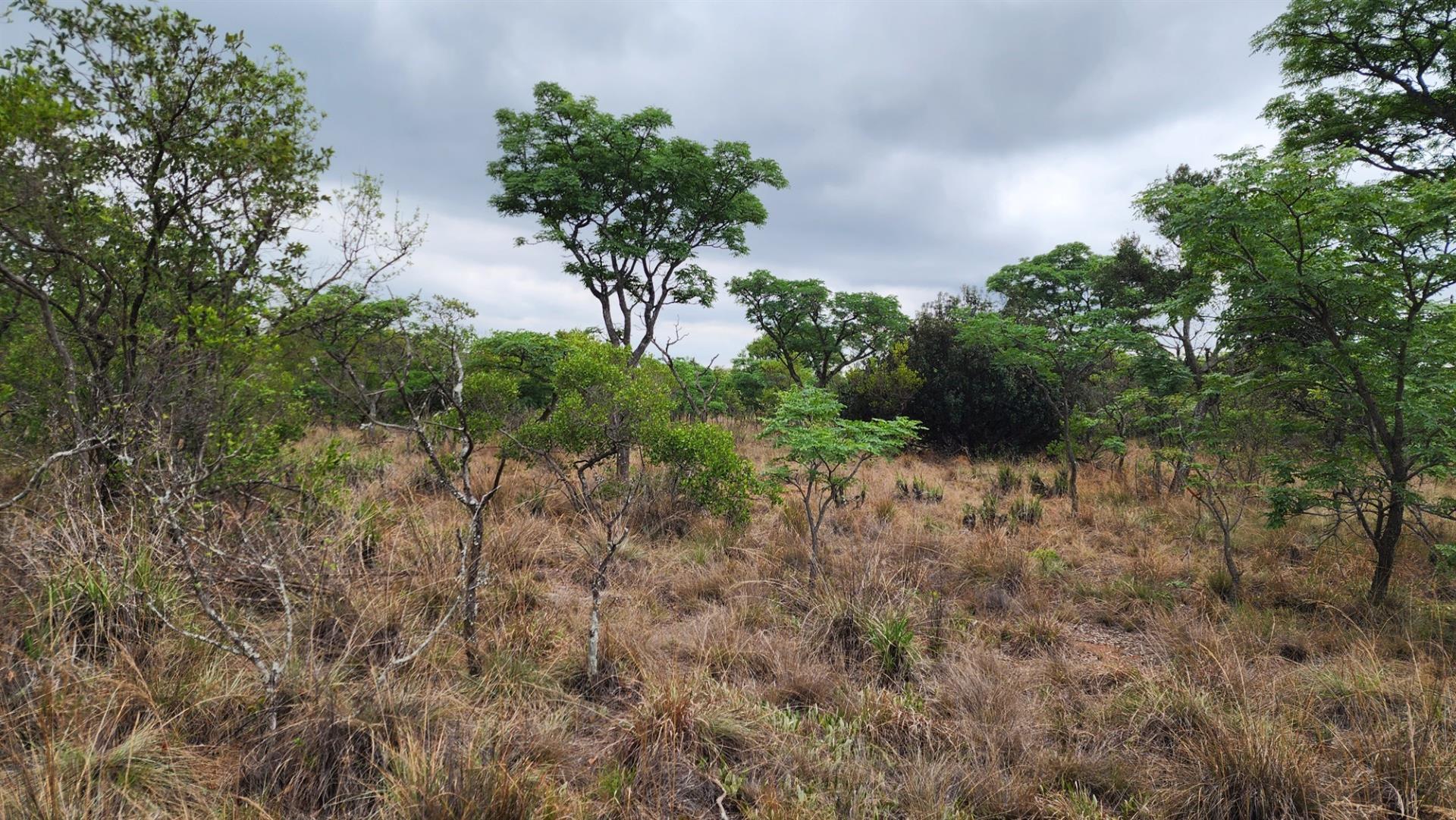 VERLOREN ESTATE - 2500 square metres vacant land - Build Your African Dream - DOG FRIENDLY
