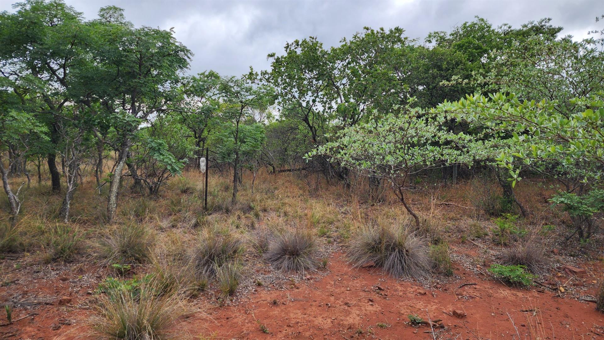 VERLOREN ESTATE - 2500 square metres vacant land - Build Your African Dream - DOG FRIENDLY