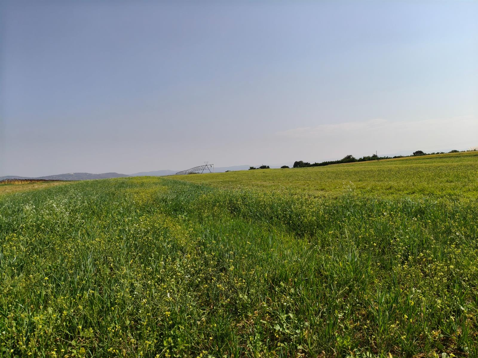 27Ha Vacant Land close to University Of Mpumalanga