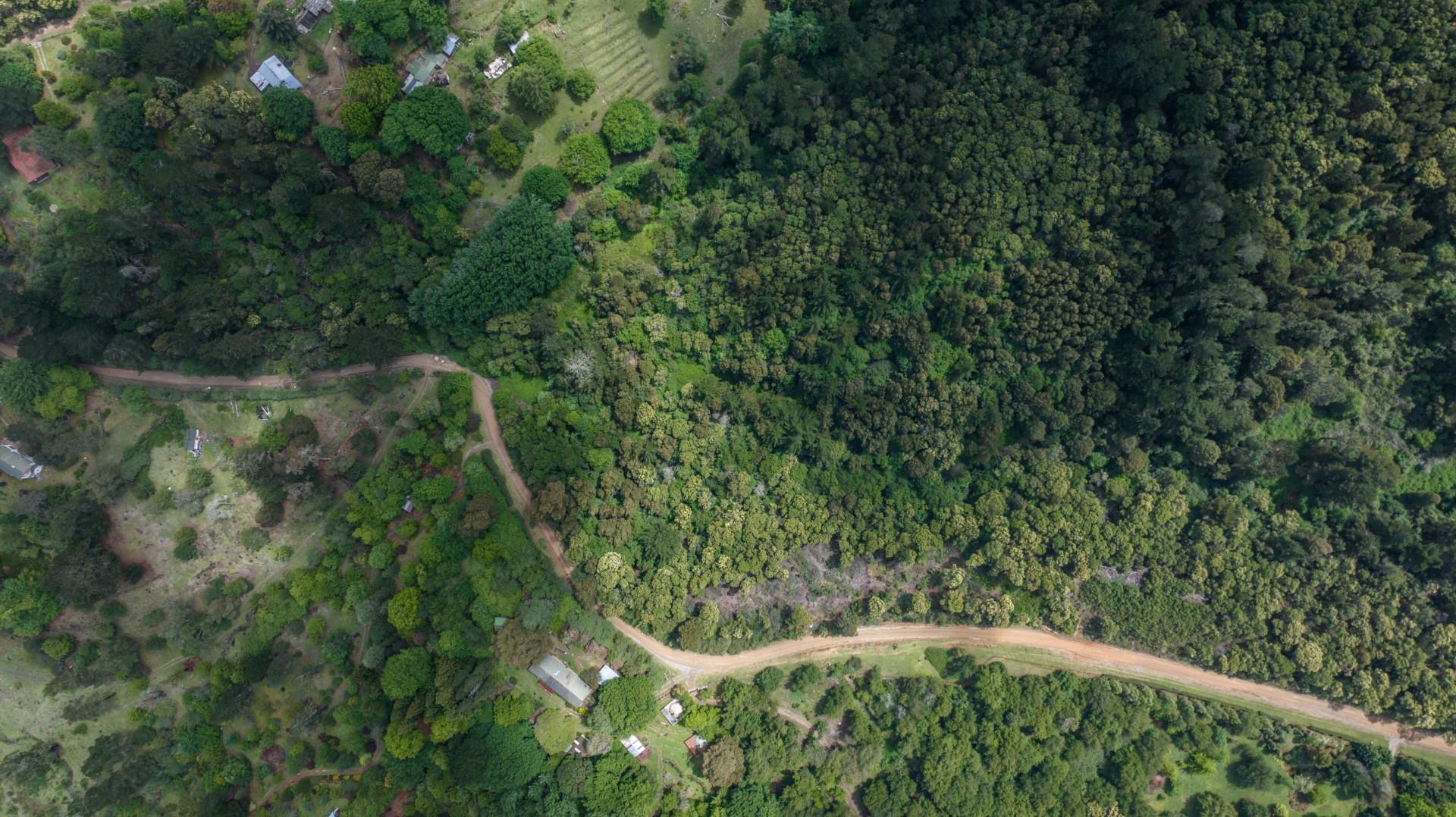 Vacant Land For Sale in Hogsback