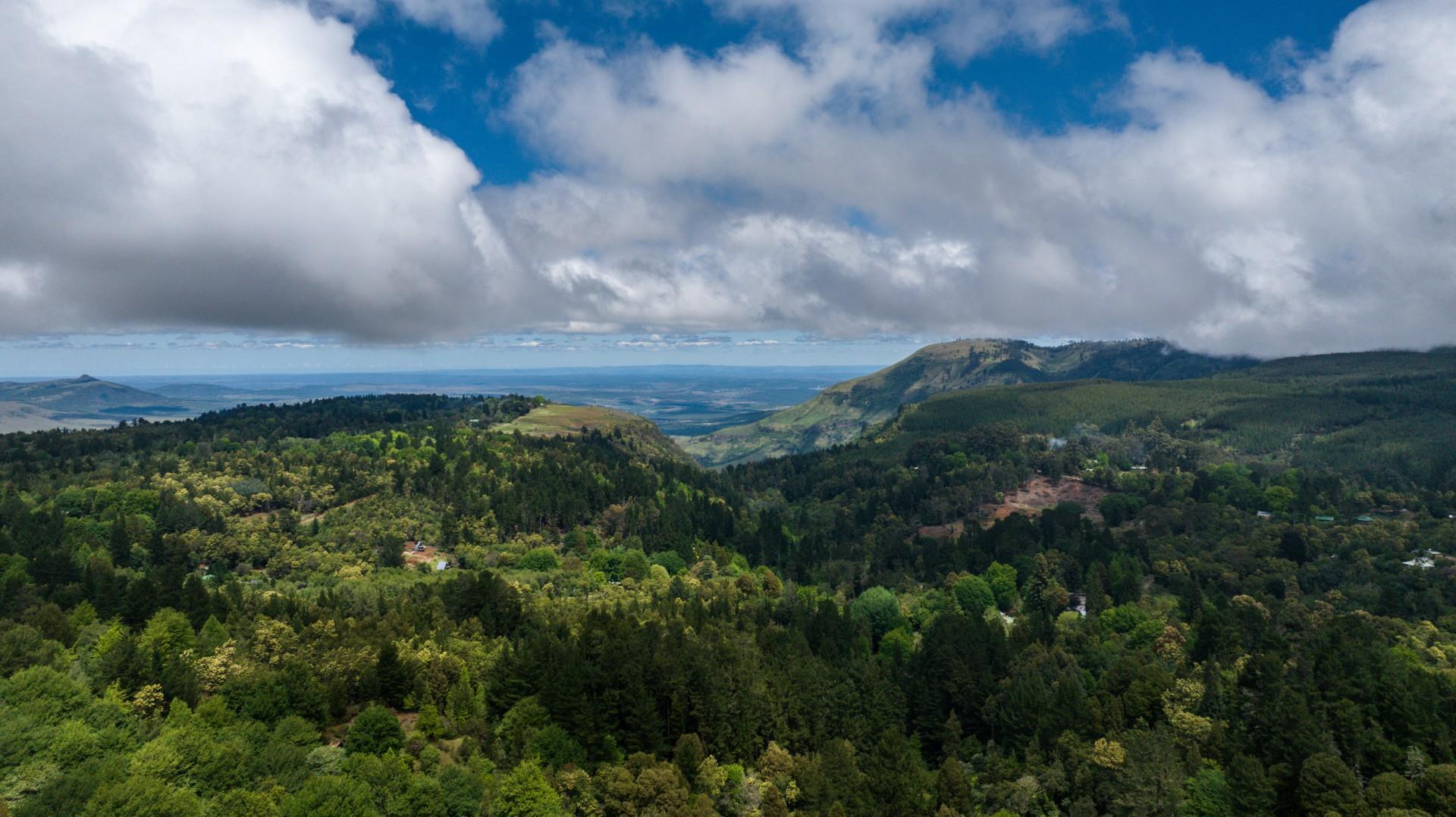 Vacant Land For Sale in Hogsback