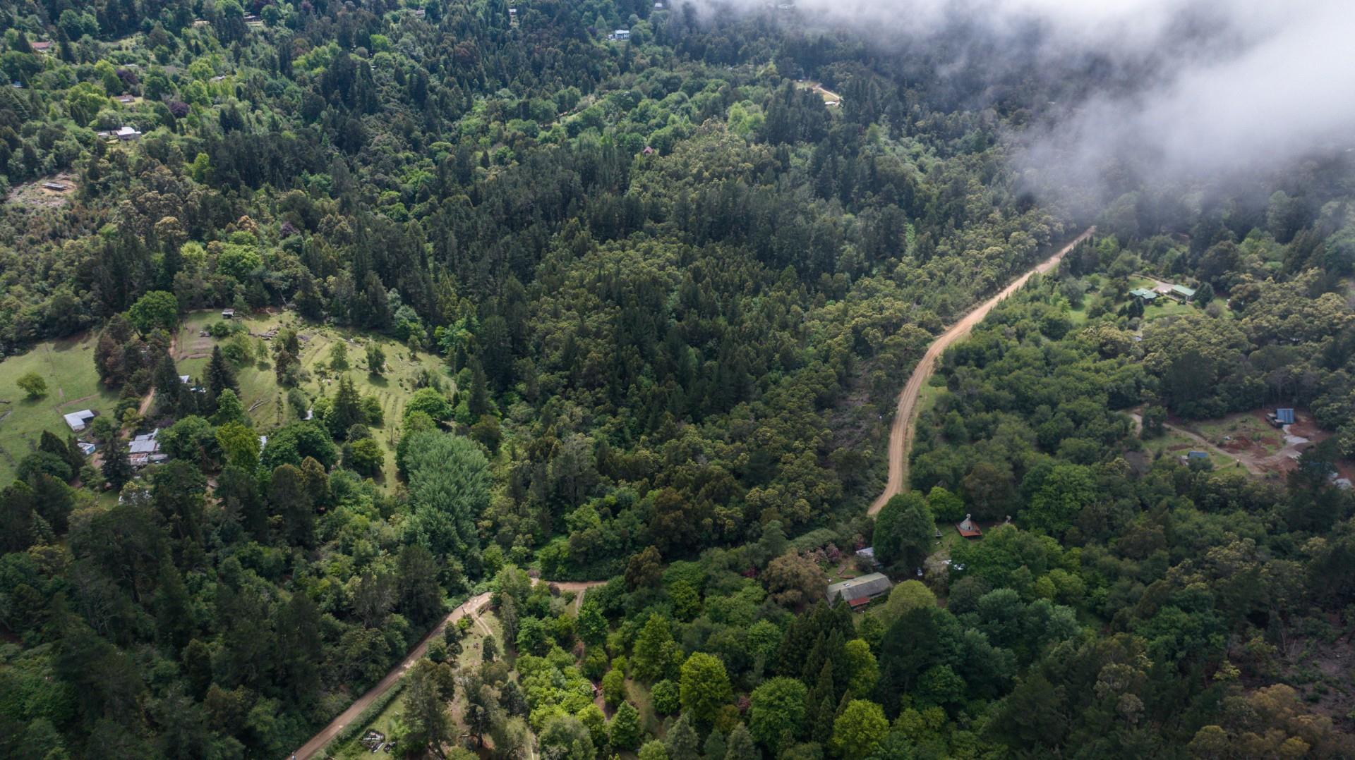 Vacant Land for sale in Hogsback, 27734 m²