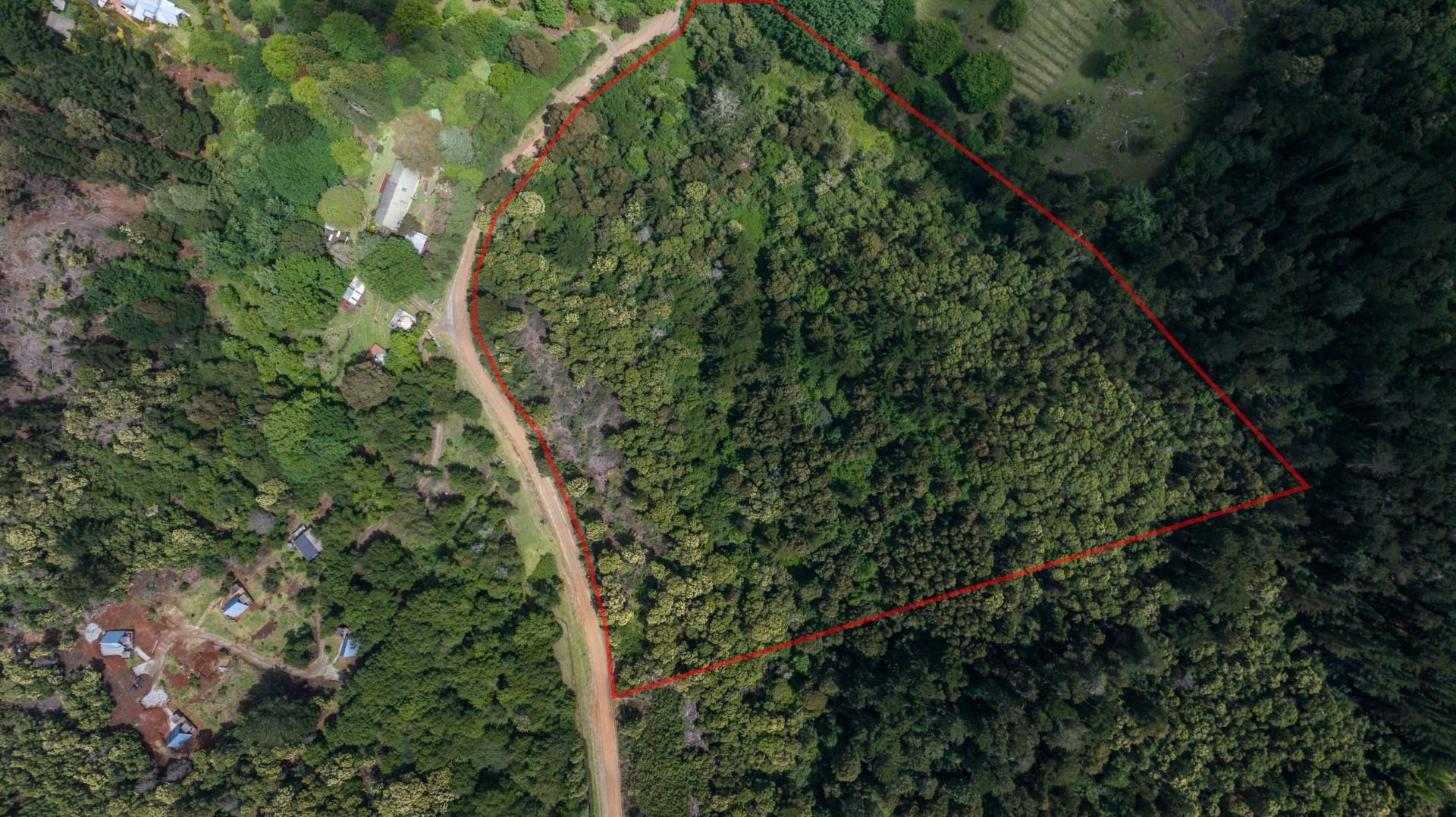 Vacant Land For Sale in Hogsback
