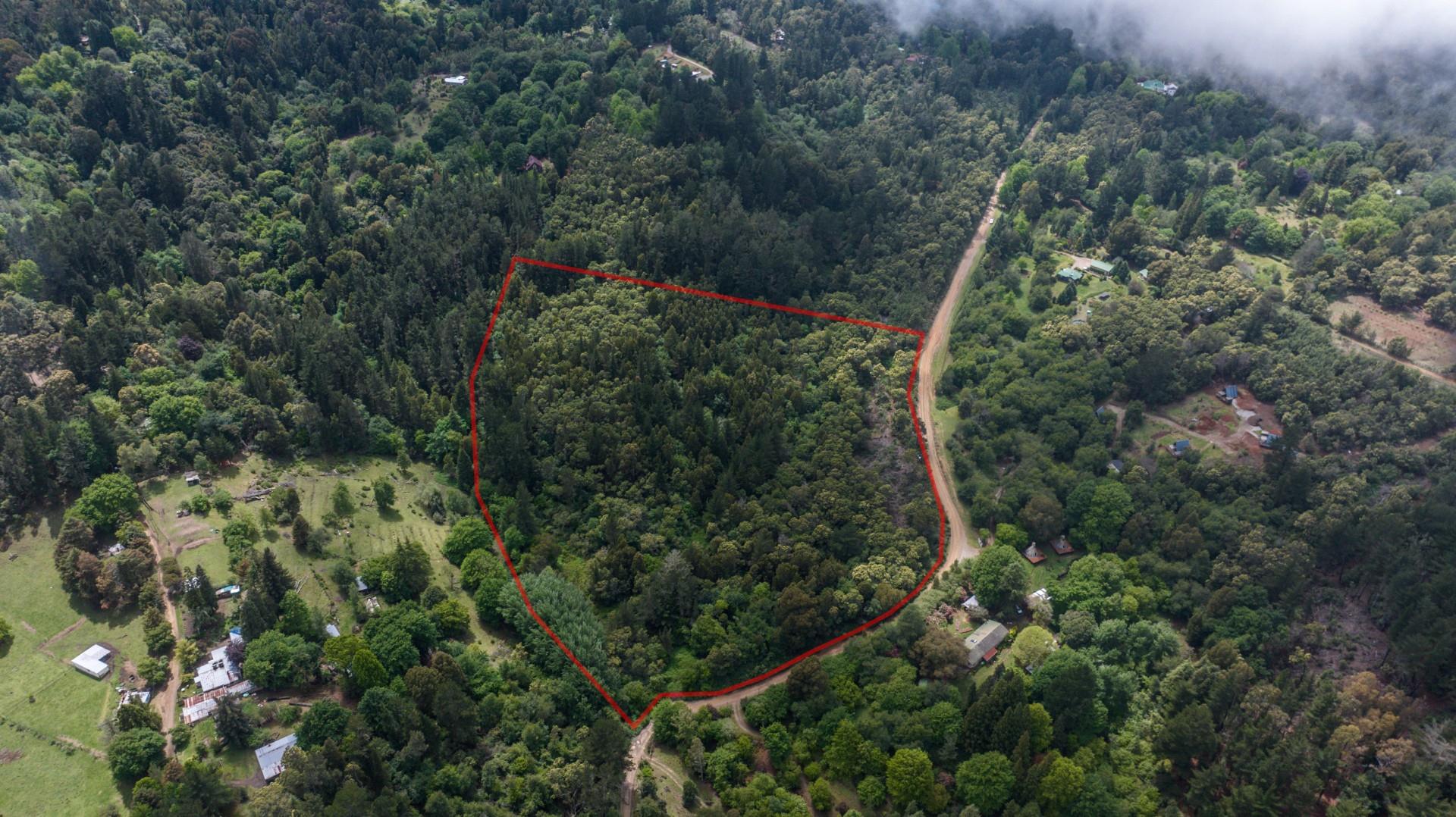 Vacant Land For Sale in Hogsback