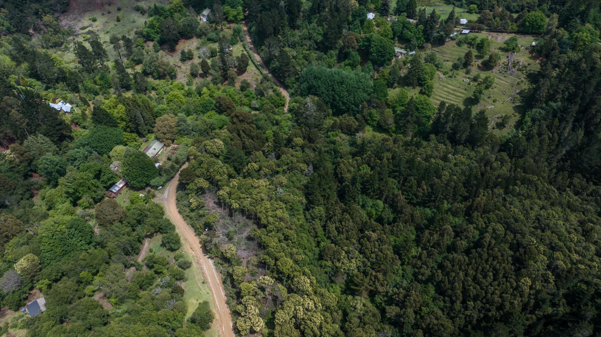 Vacant Land For Sale in Hogsback