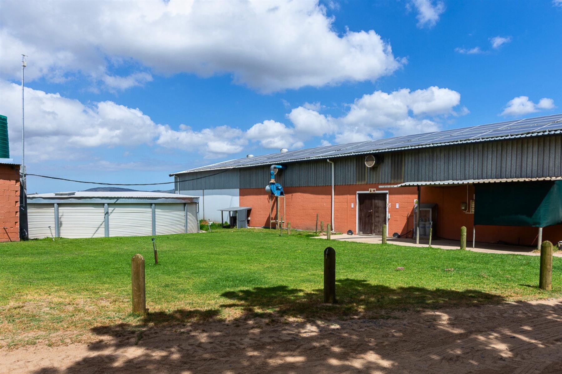 Thriving High-Yield Veg Farm - Turnkey Infrastructure - Est. Retail Clients - 50km from Cape Town