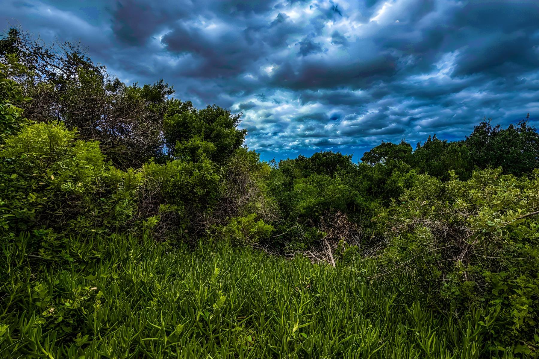 Priced to Sell! Prime Land for Sale in Blue Horizon Bay | Listed by Danté Koen, eXp Realty