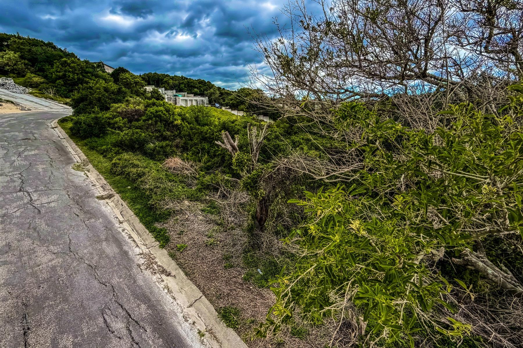 Priced to Sell! Prime Land for Sale in Blue Horizon Bay | Listed by Danté Koen, eXp Realty