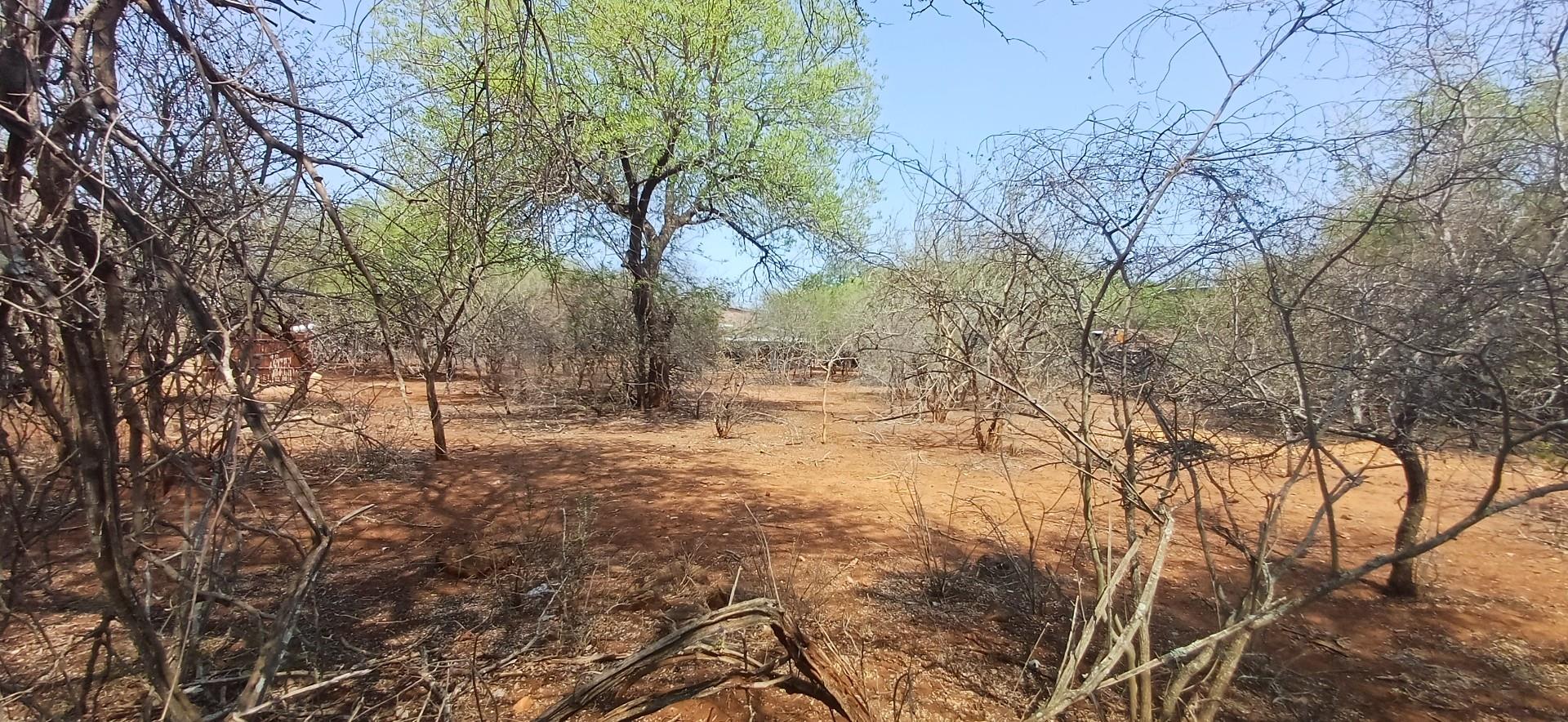 Vacant Land for sale in Marloth Park, 1505 m²