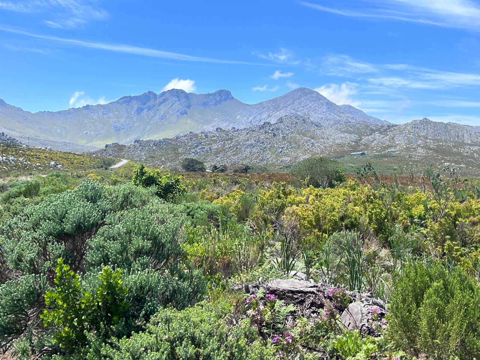 Farm For Sale in Pringle Bay