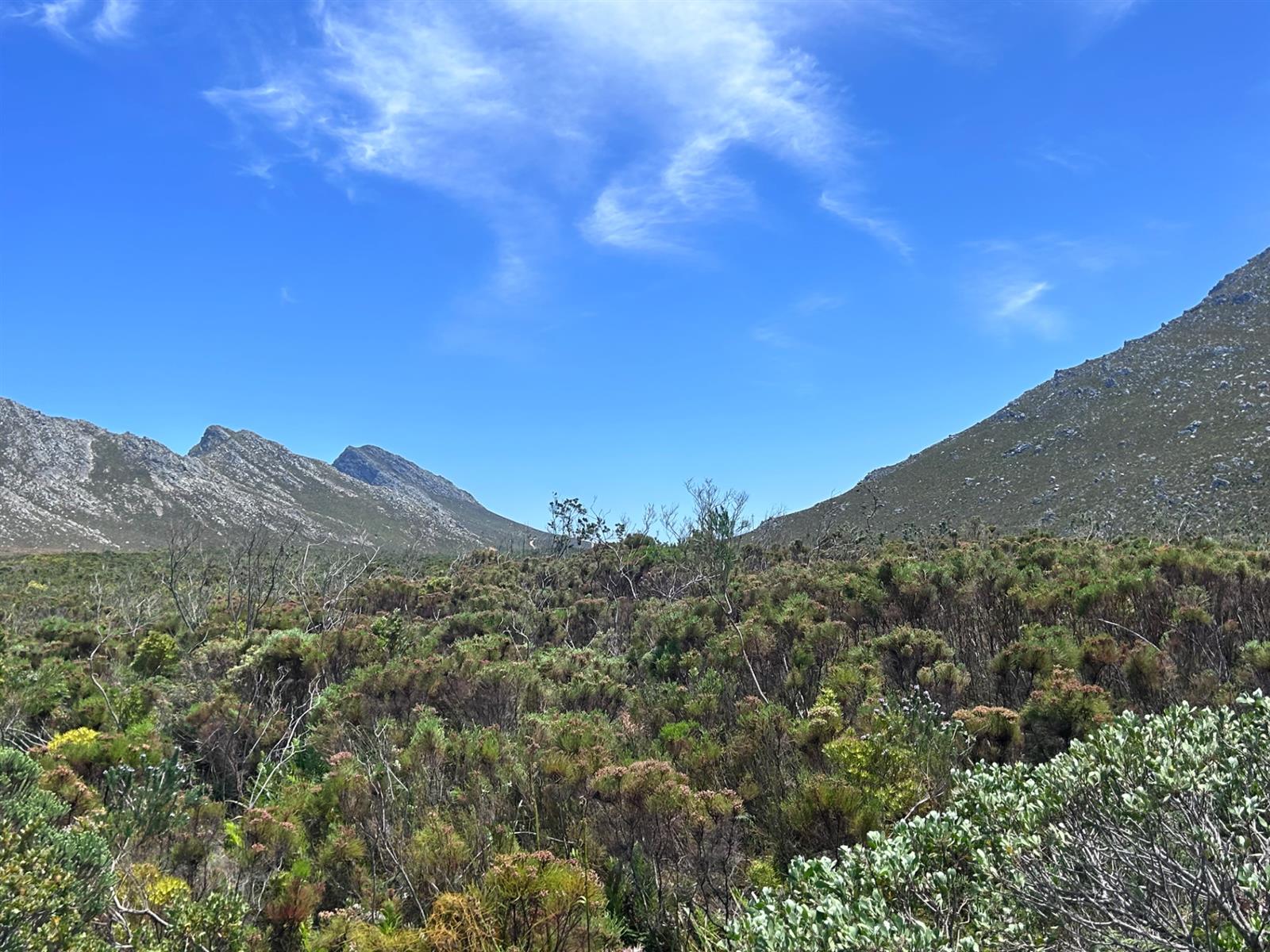 Farm For Sale in Pringle Bay