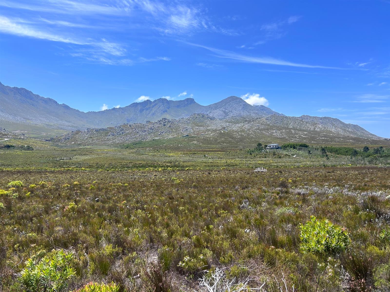 Farm For Sale in Pringle Bay